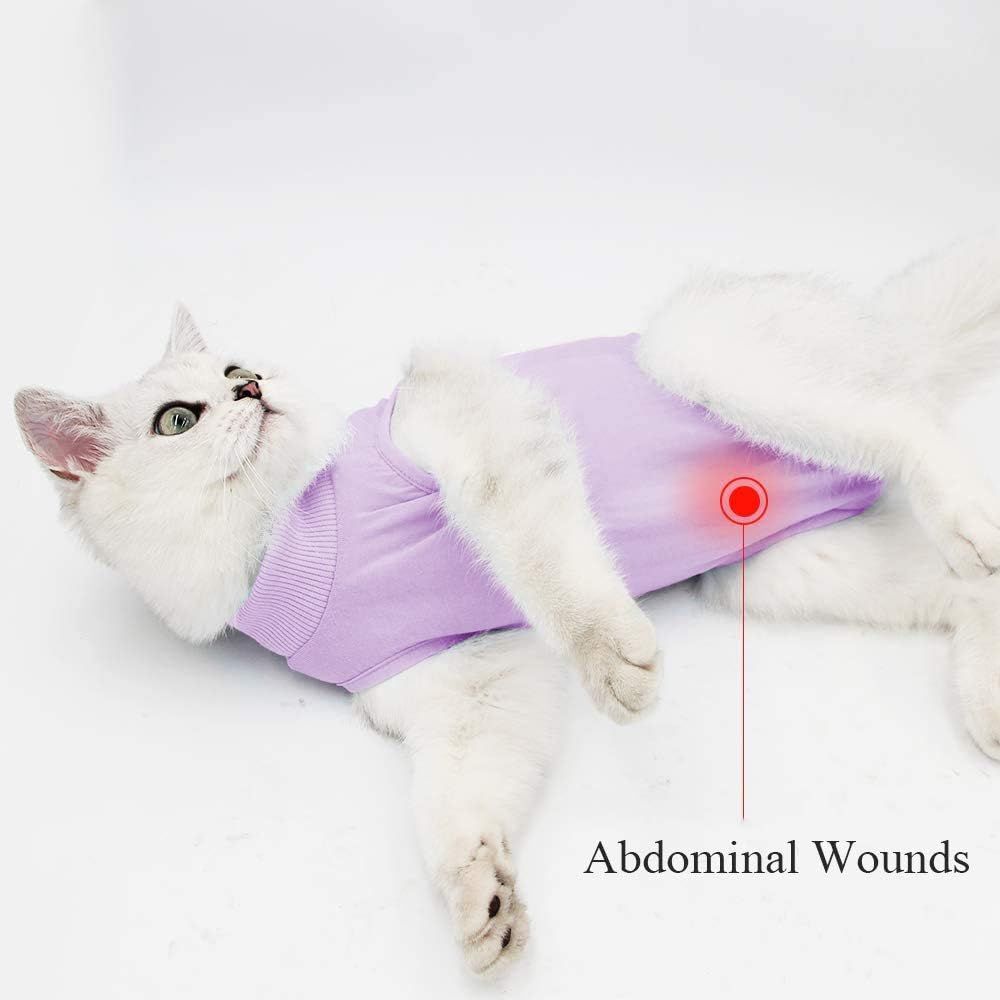 Cat Professional Recovery Suit for Abdominal Wounds and Skin Diseases view 3