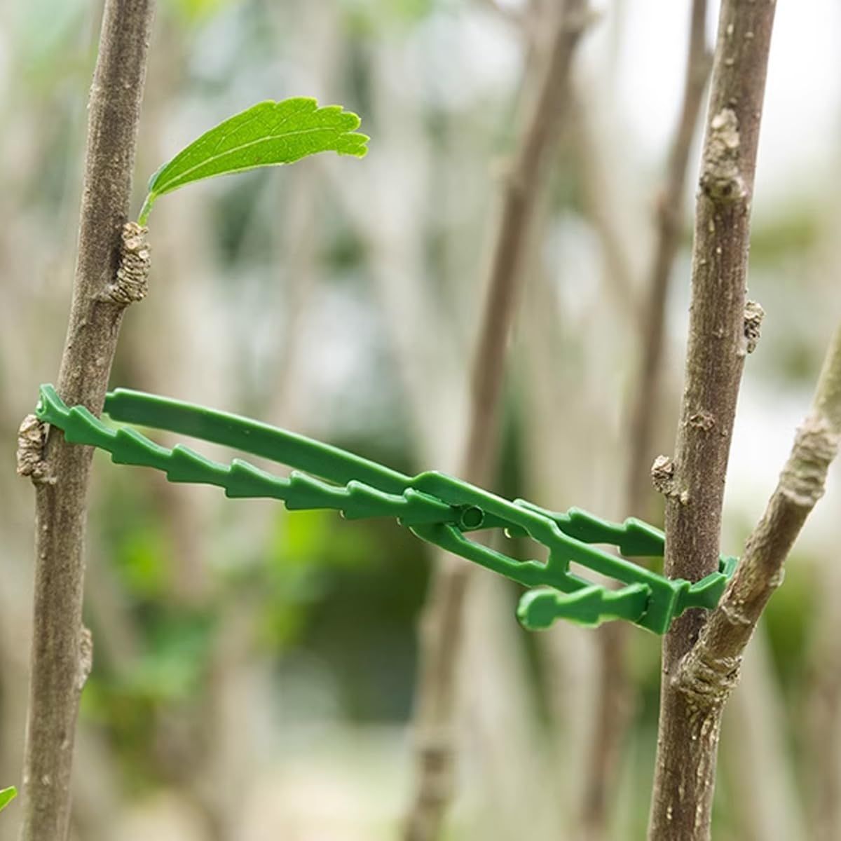 50pcs Adjustable plant ties view 2