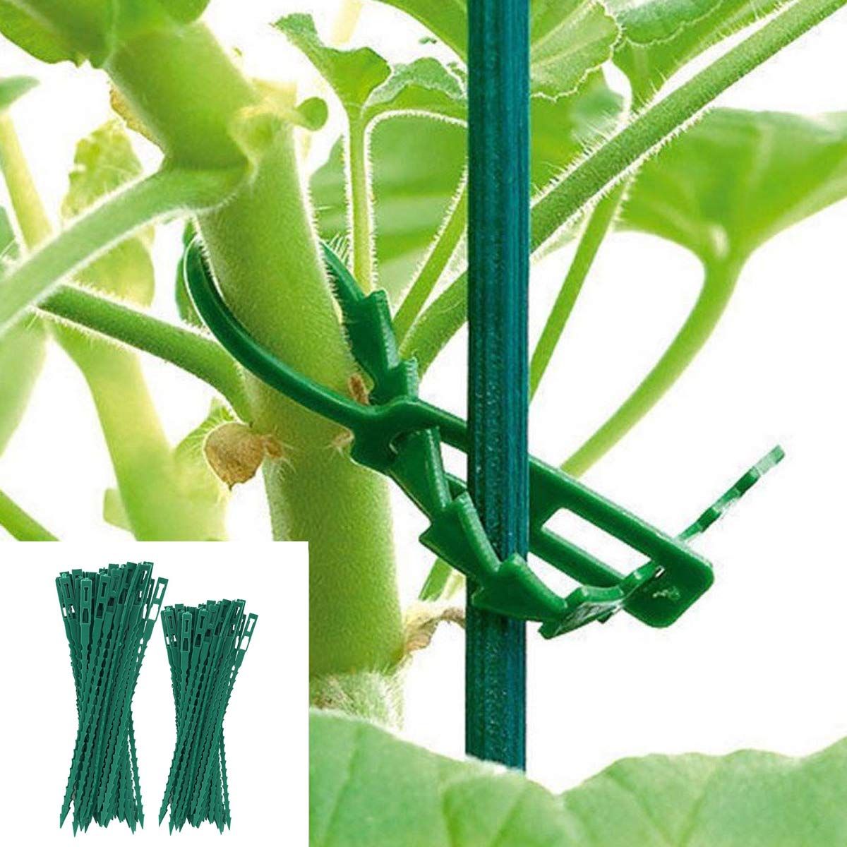 50pcs Adjustable plant ties view 5