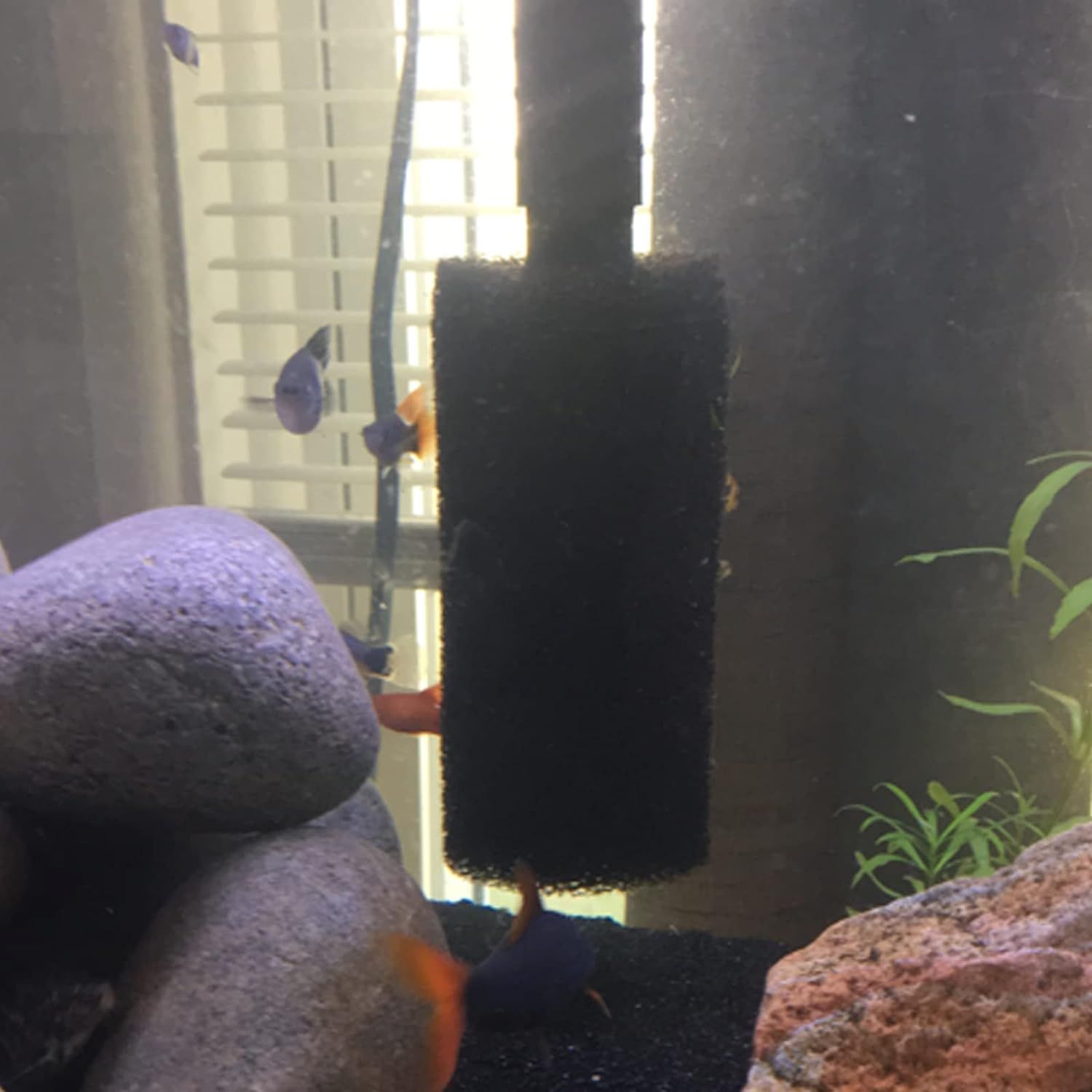 2-Pack Pre-Filter Sponge for Aquarium Shrimp Fry Fish Tank Filter Intake view 4