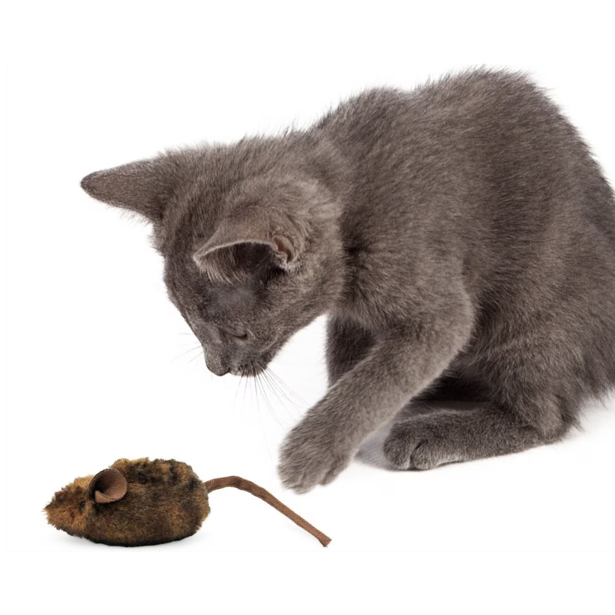 Mouse Hunter Cat Toy (Interactive Cat Toy & Catnip Toy with Real Mouse view 5