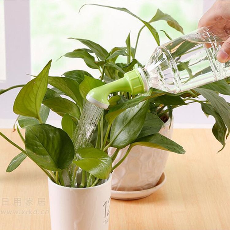 Bottle Cap Sprinkler Drink Bottle Watering CanIndoor Seedling Plant Garden view 3