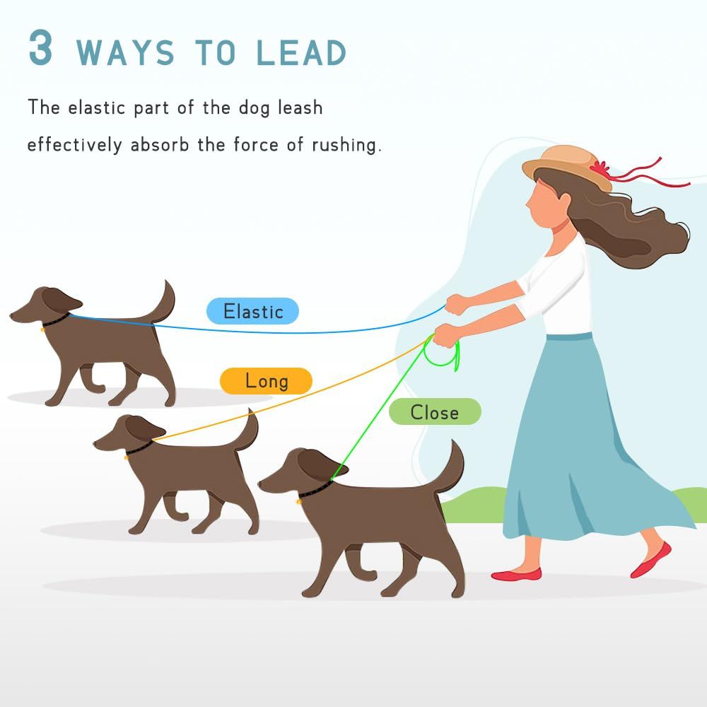 Dog Leash Elastic, No-Pull Seatbelt Heavy Duty, Shock Absorbing for Small view 5