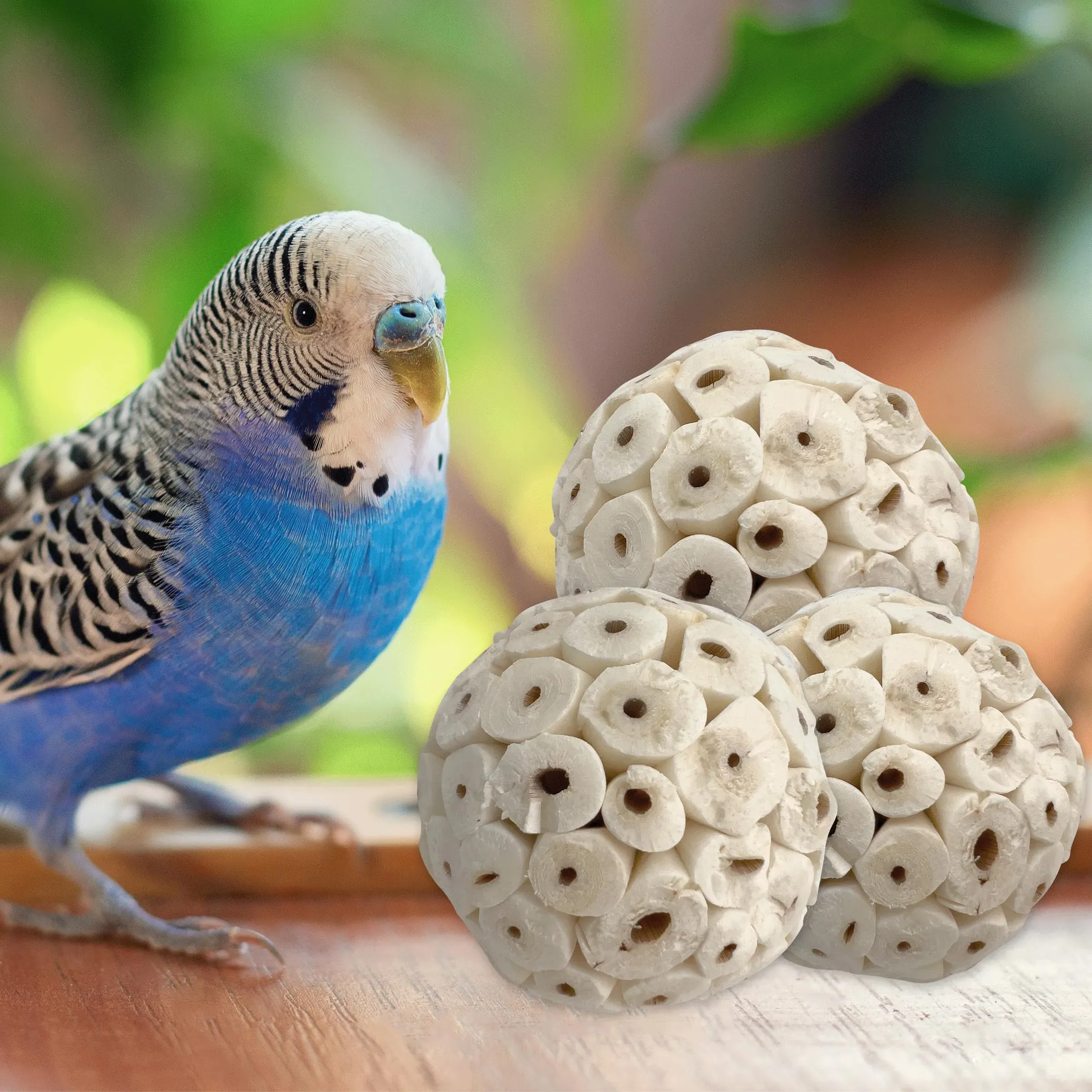 3pcs Handmade Natural Sola Wood Bird Foot Toys — image 1