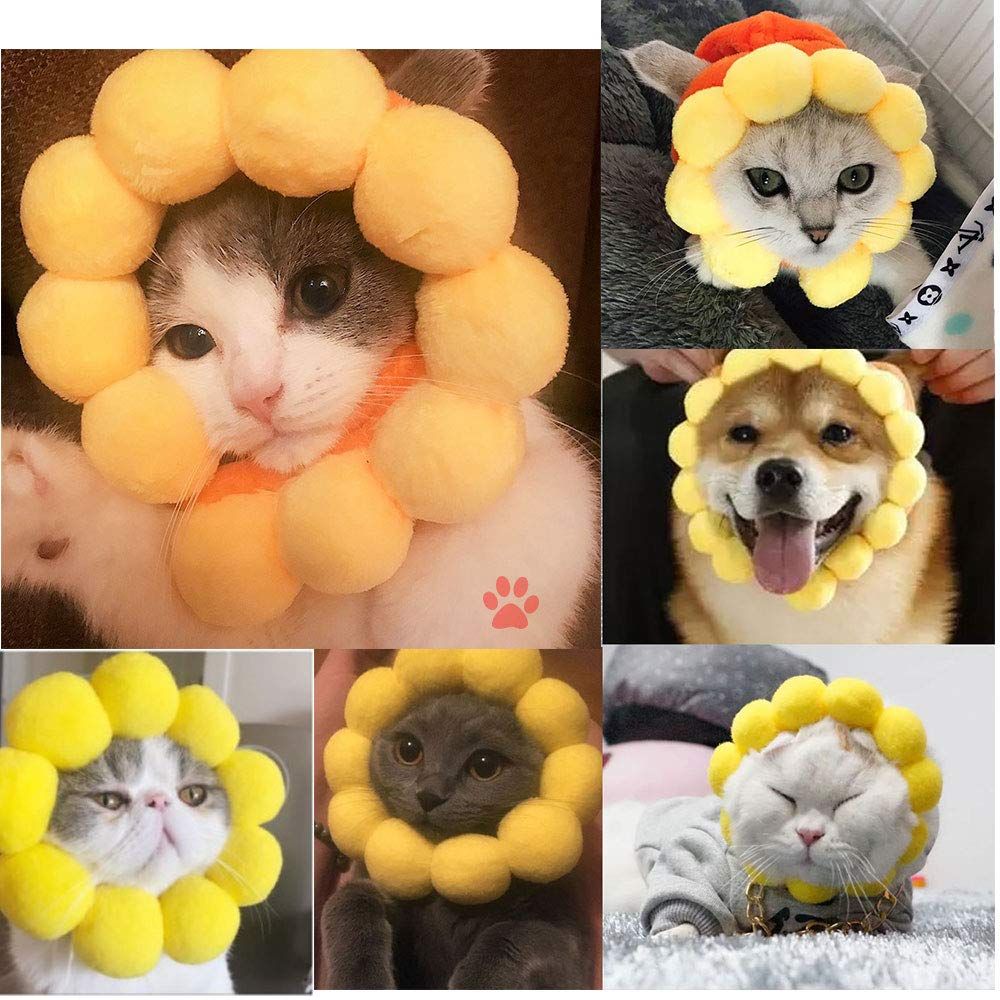 Sun Flower Shape Adorable Pet Hat view 3