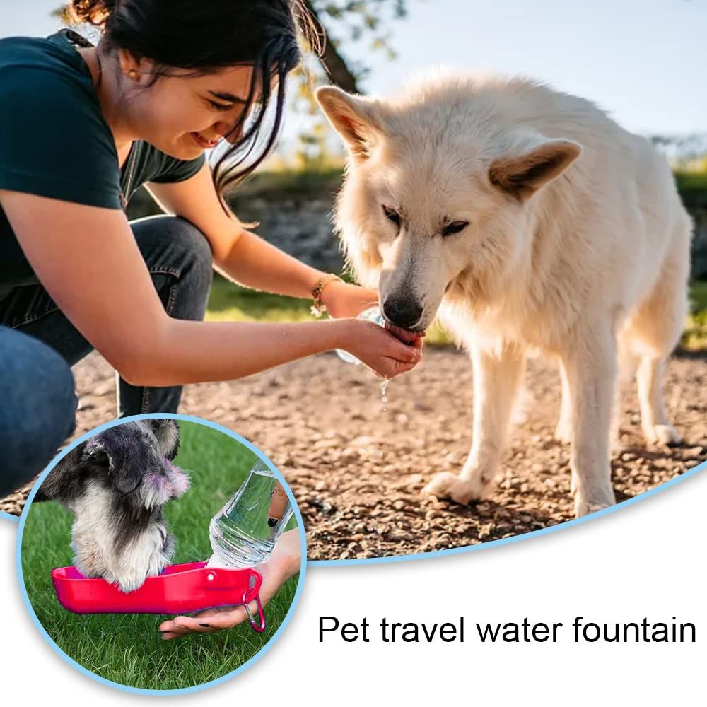 Dog Water Bottle Portable 500ml Dog Walking Travel Bottle Leak Proof Foldable view 4