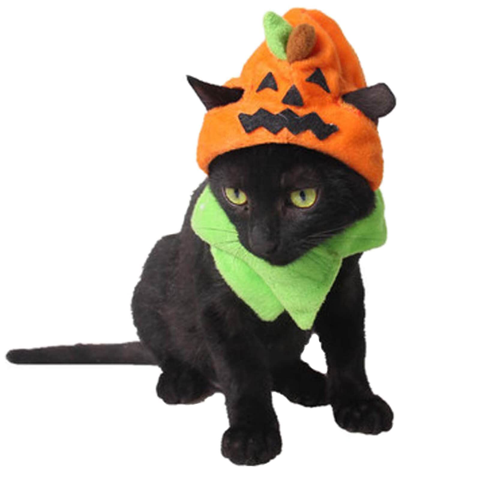 Halloween Pumpkin Cat Hat Cat Cosplay Costume Cap Cat Collar Costume CUTE view 2