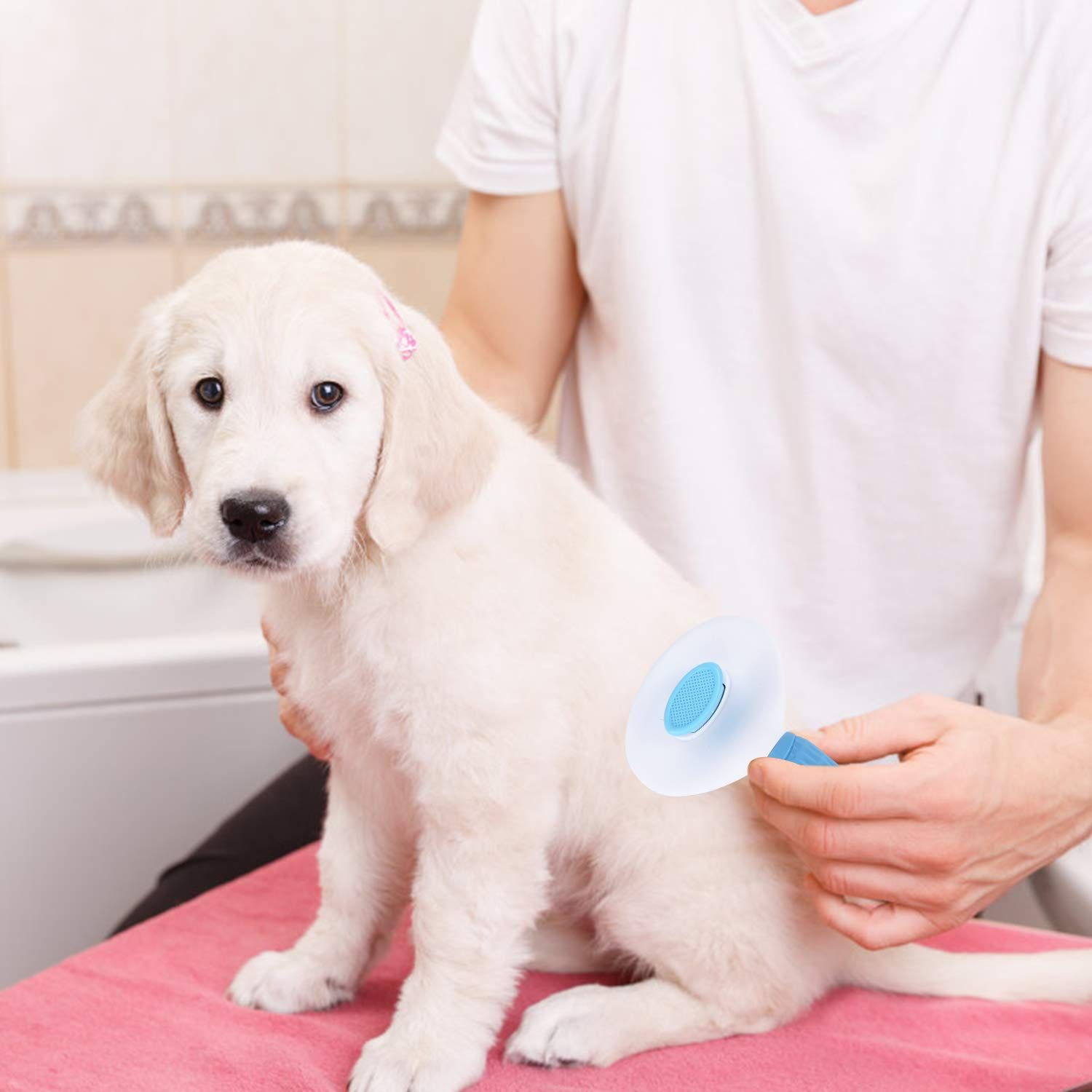 Self Cleaning Brush, Dog Cat Bunny Pet Grooming Shedding Brush - Easy to view 5