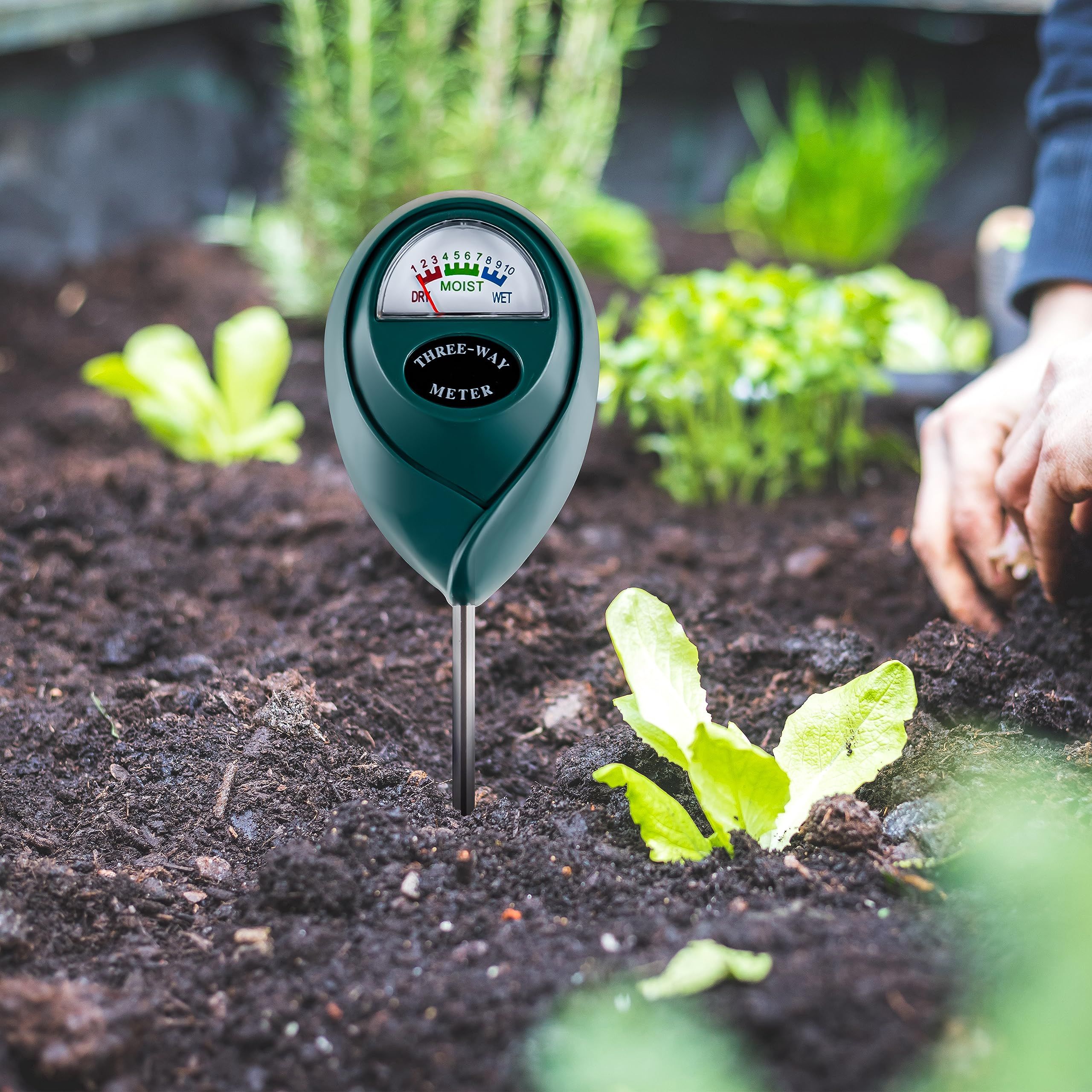 Soil Moisture Meter for House Plants view 4