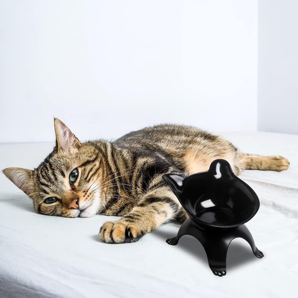 Cat Dog Bowls,15°Tilted Pet Feeder Bowl,Cat Feeding Bowls,Protective Cat view 4