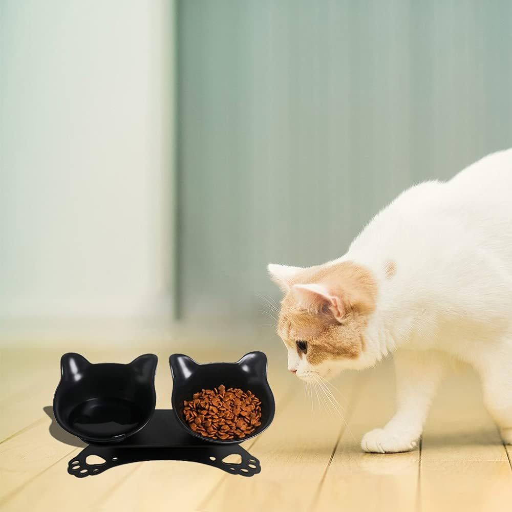 Elevated Cat Bowls,Double Cat Dog Bowls,15°Tilted Raised Cat Bowls,Cat Food view 4