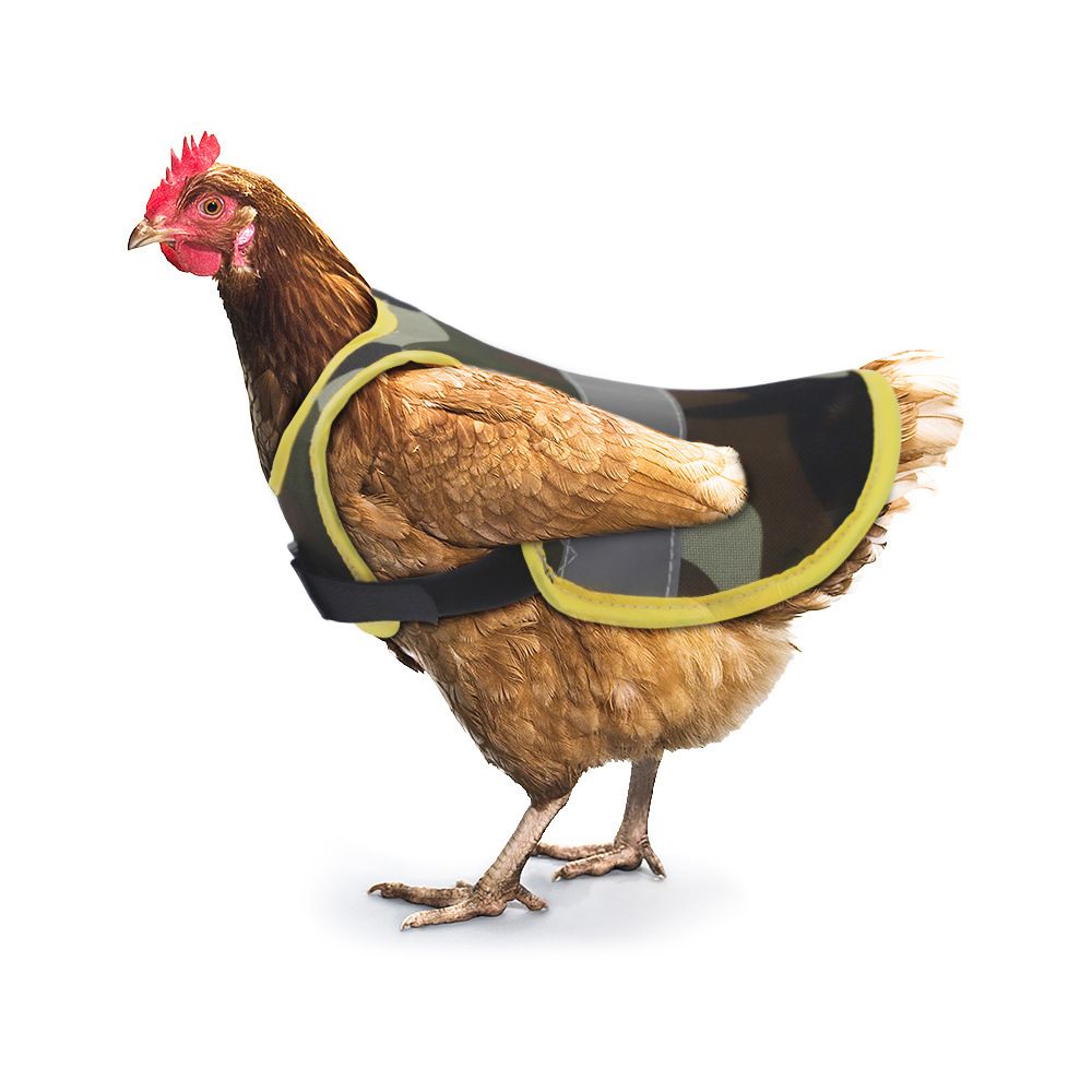 Chicken saddle - hen saddle view 3