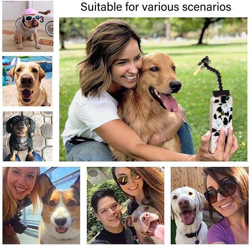 Pet Selfie Tool Phone Selfie Stick view 3