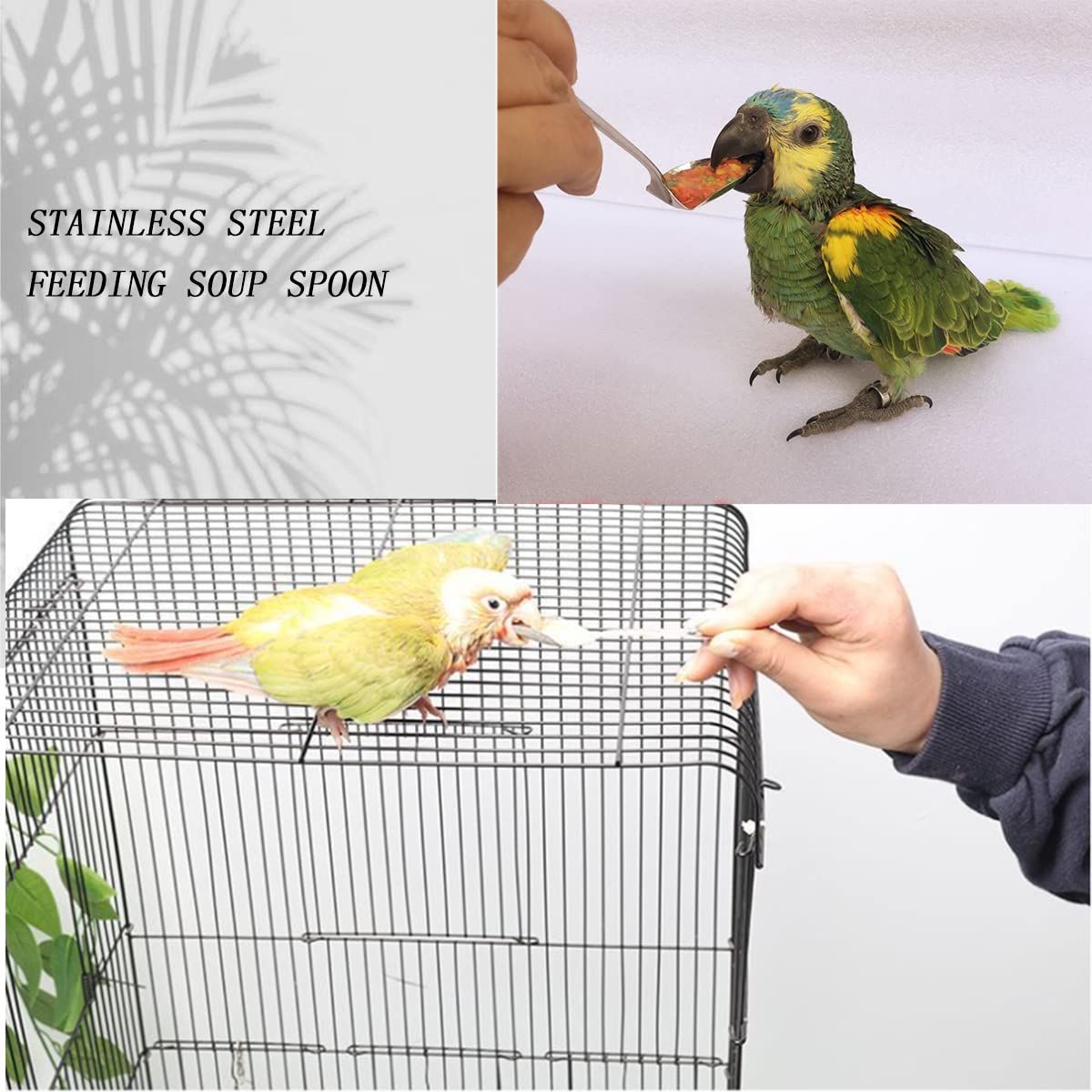6 Pcs Pet Feeding Scoop Parrot Feeding Spoon Bird Feeding Tool Bird Feeding view 2