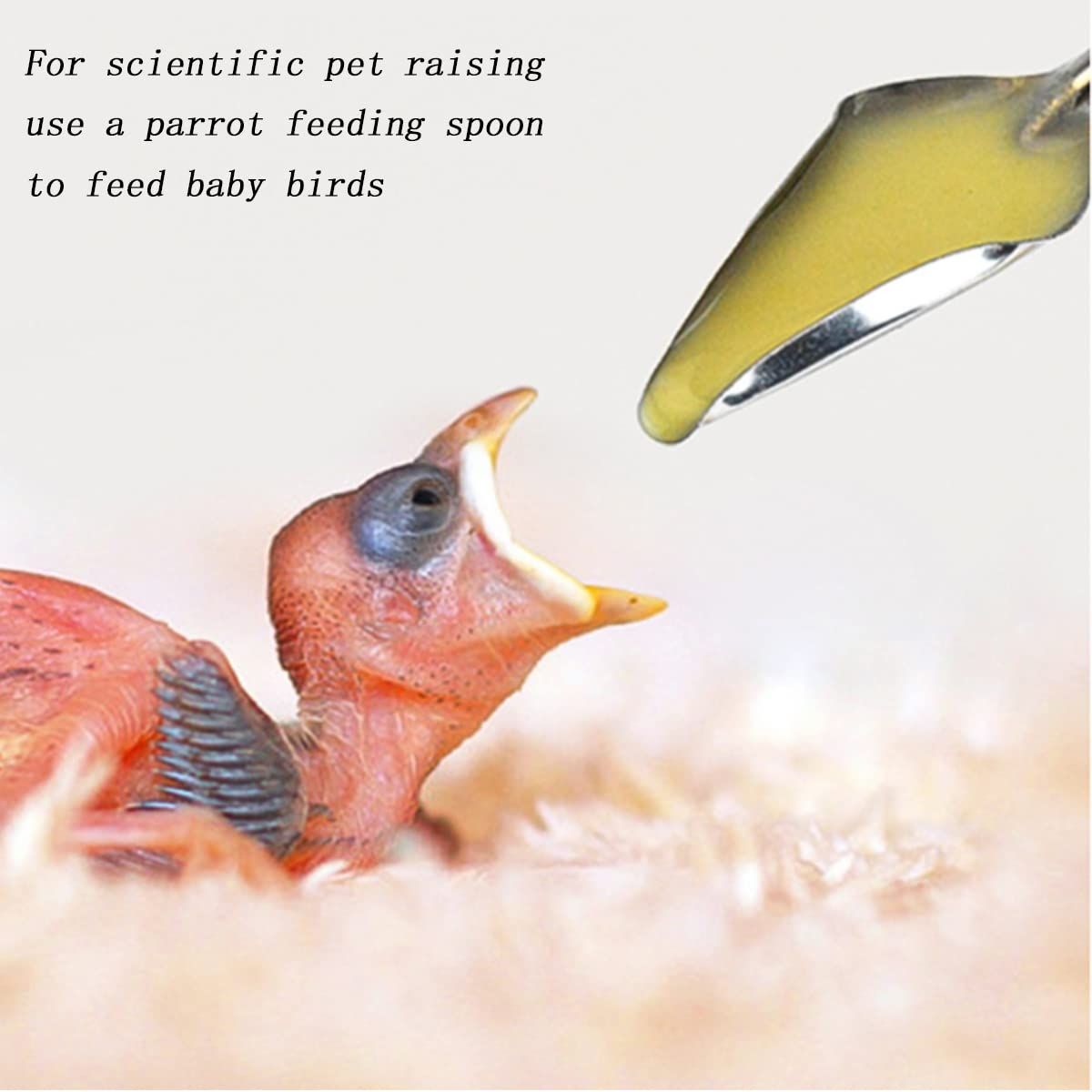 6 Pcs Pet Feeding Scoop Parrot Feeding Spoon Bird Feeding Tool Bird Feeding view 3