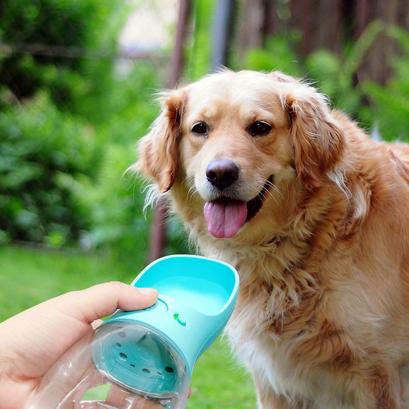 Portable Dog Water Bottle for Walking view 3