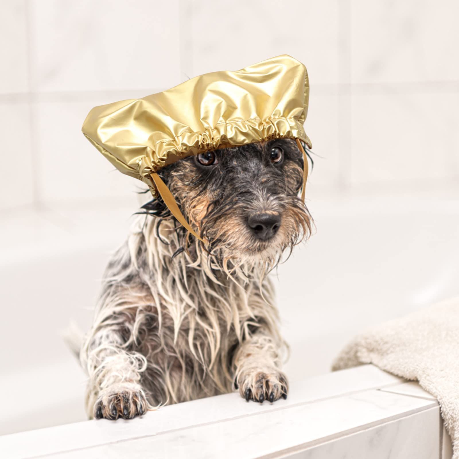 Large Dog Hats Dog Shower Fixed Taking Dogs Shower Bath S Cap for Pets Pet view 4
