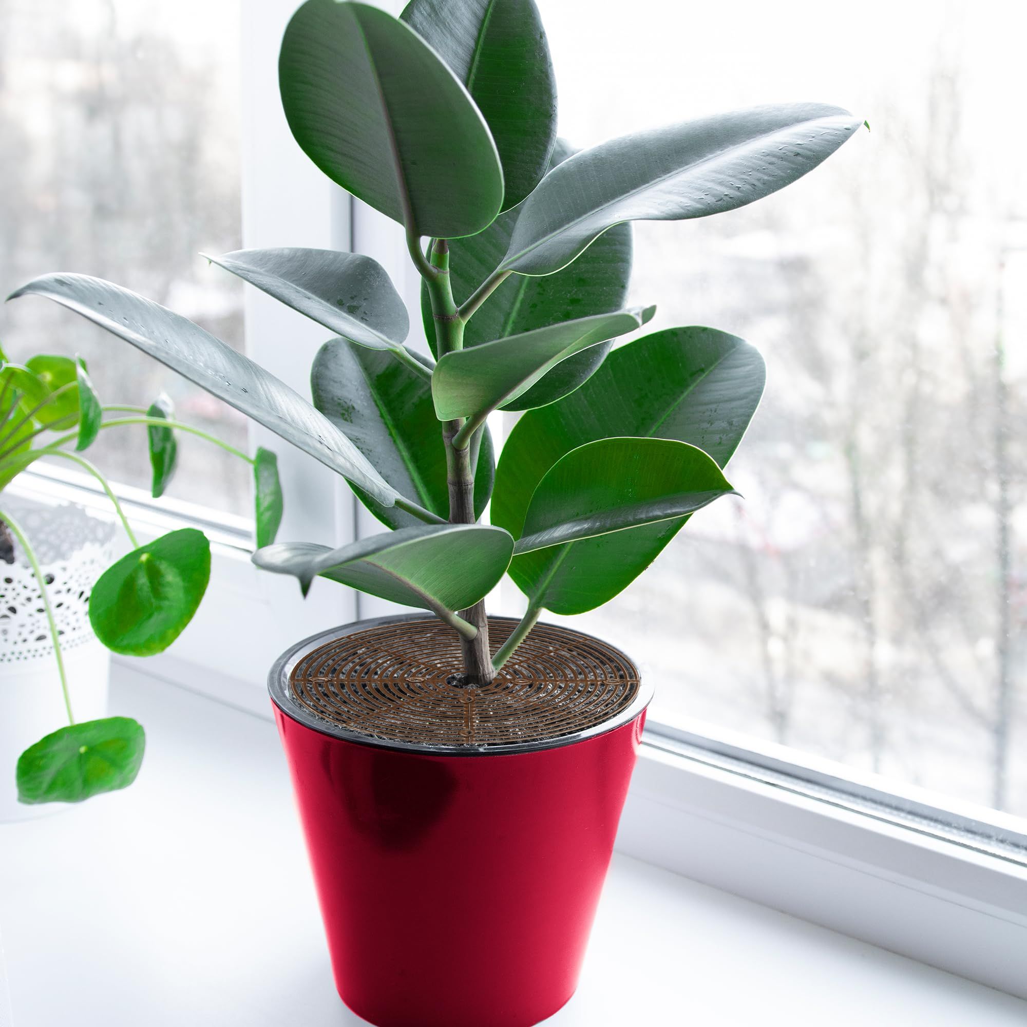 3 Pack Plant Pot Covers for Indoor Plants