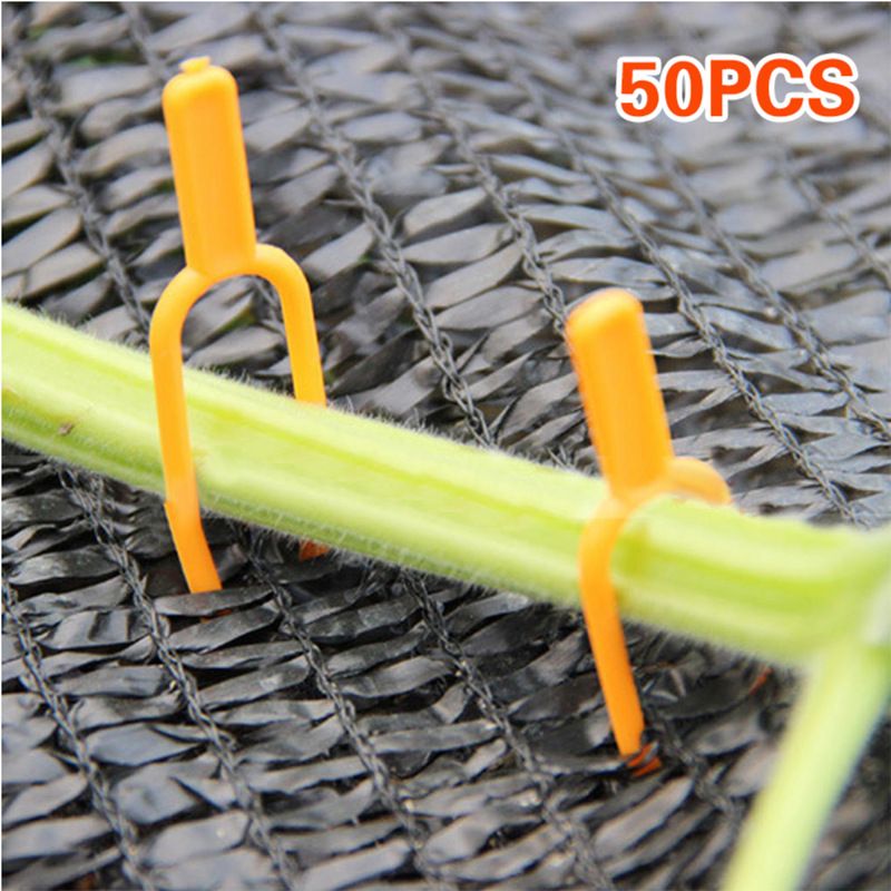 50pcs Fixing Clips Plant Clips Garden Tool Stolons Accessory Strawberry Fork