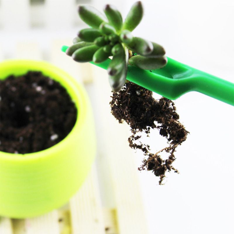 6 Sets Planting Seedlings Garden Tool Plastic Garden Seedling Seedlings Sowing view 3