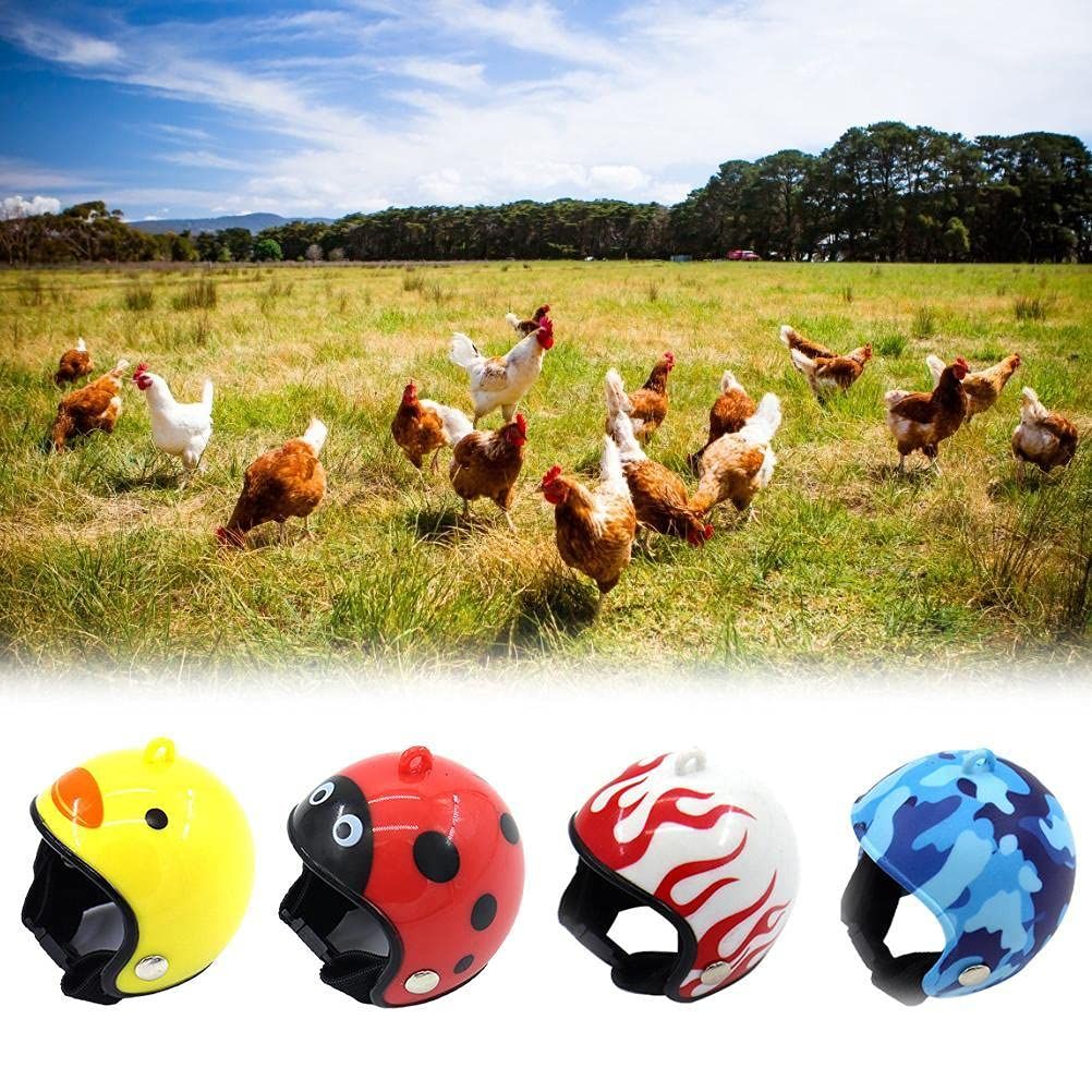 4 Pcs- Chicken Helmet Plastic Bird Head Protection Cap Chick Pecking Helmet