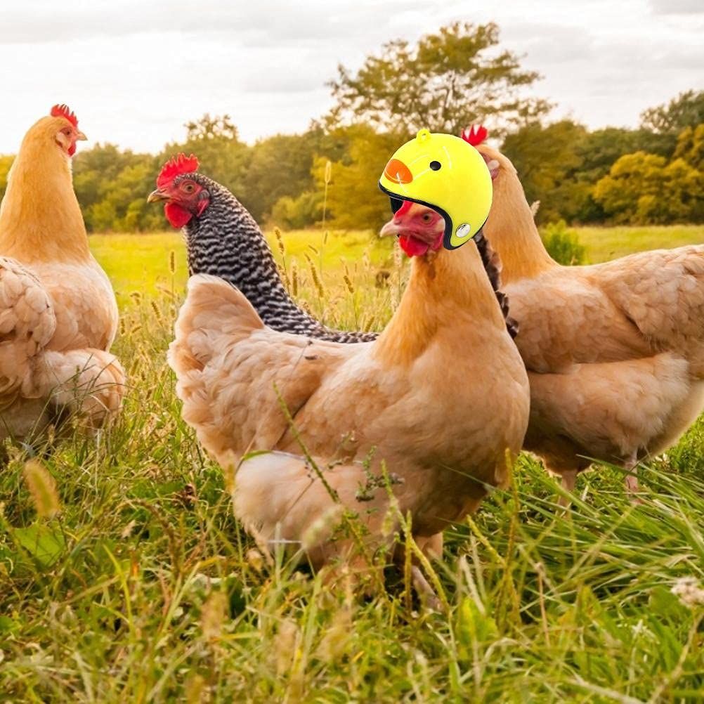 4 Pcs- Chicken Helmet Plastic Bird Head Protection Cap Chick Pecking Helmet view 3
