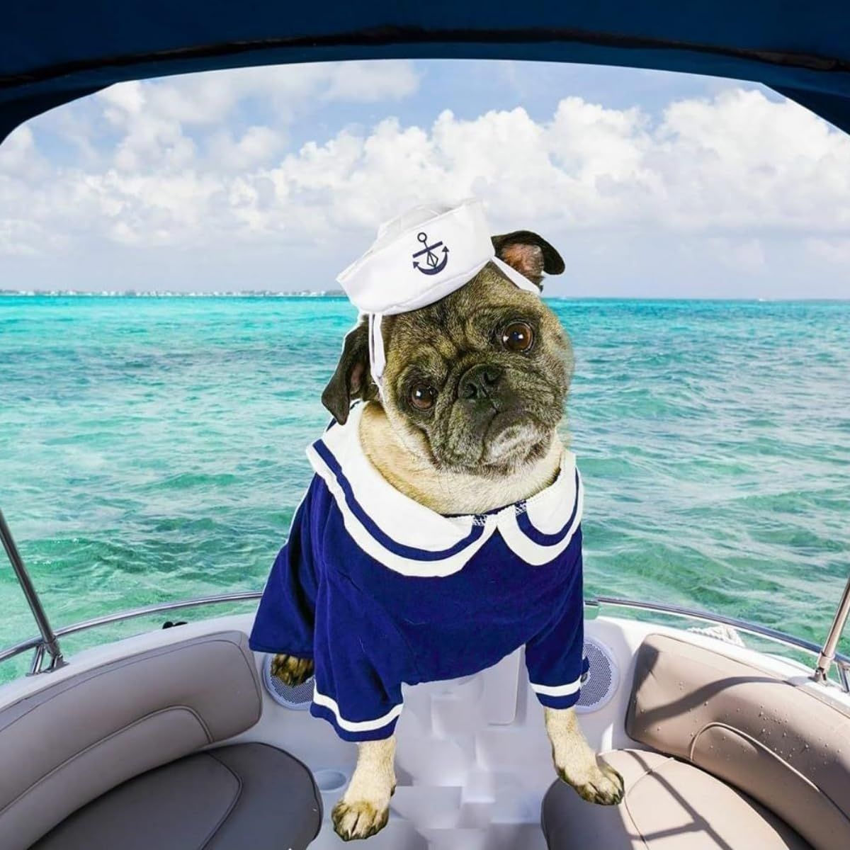 Pet Sailor Costume for Cats Small Dogs Halloween Cat Sailor Hat with Tie view 4