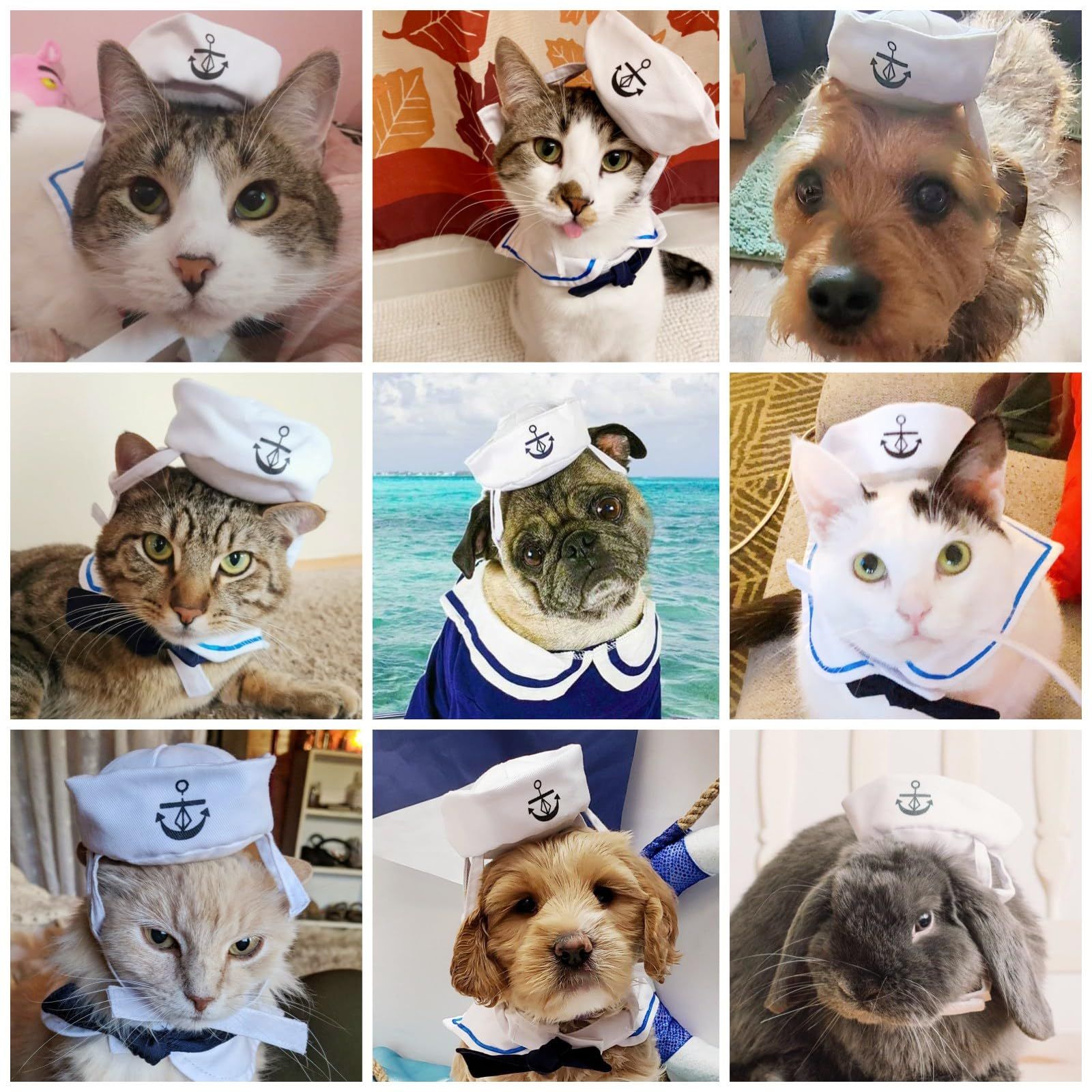 Pet Sailor Costume for Cats Small Dogs Halloween Cat Sailor Hat with Tie view 5