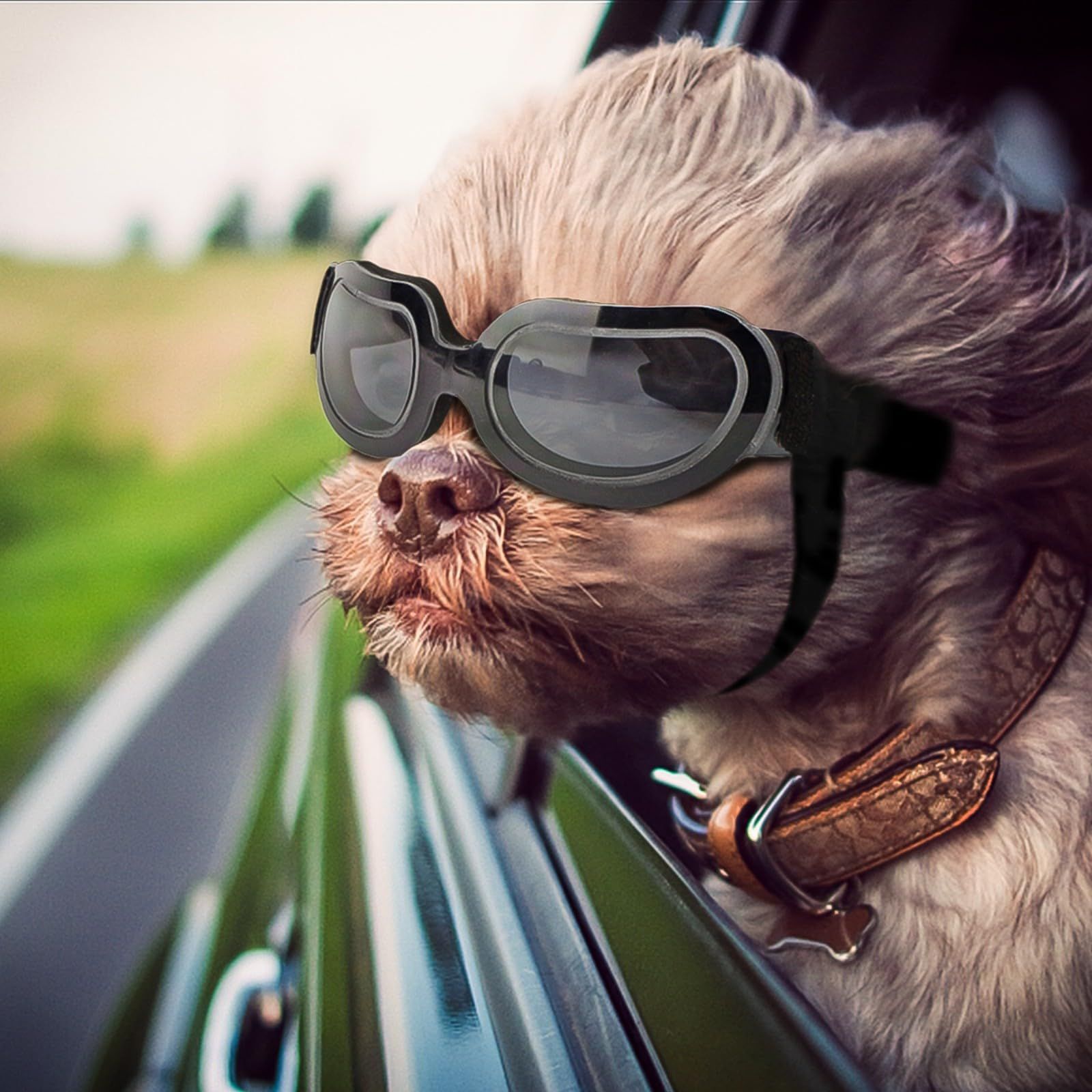 Dog Goggles Small Breed UV Lens Doggy Sunglasses for Small Dogs Eyes view 2