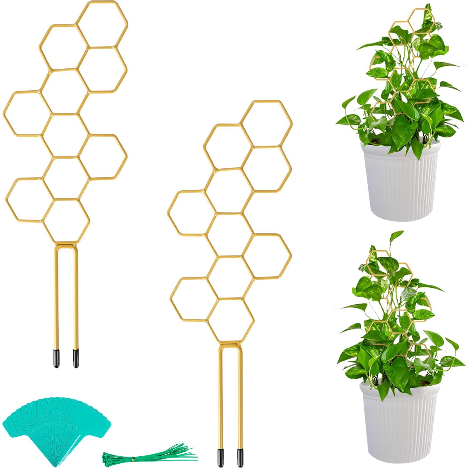 2 Pcs 14" Small Plant Trellis for Climbing Plant