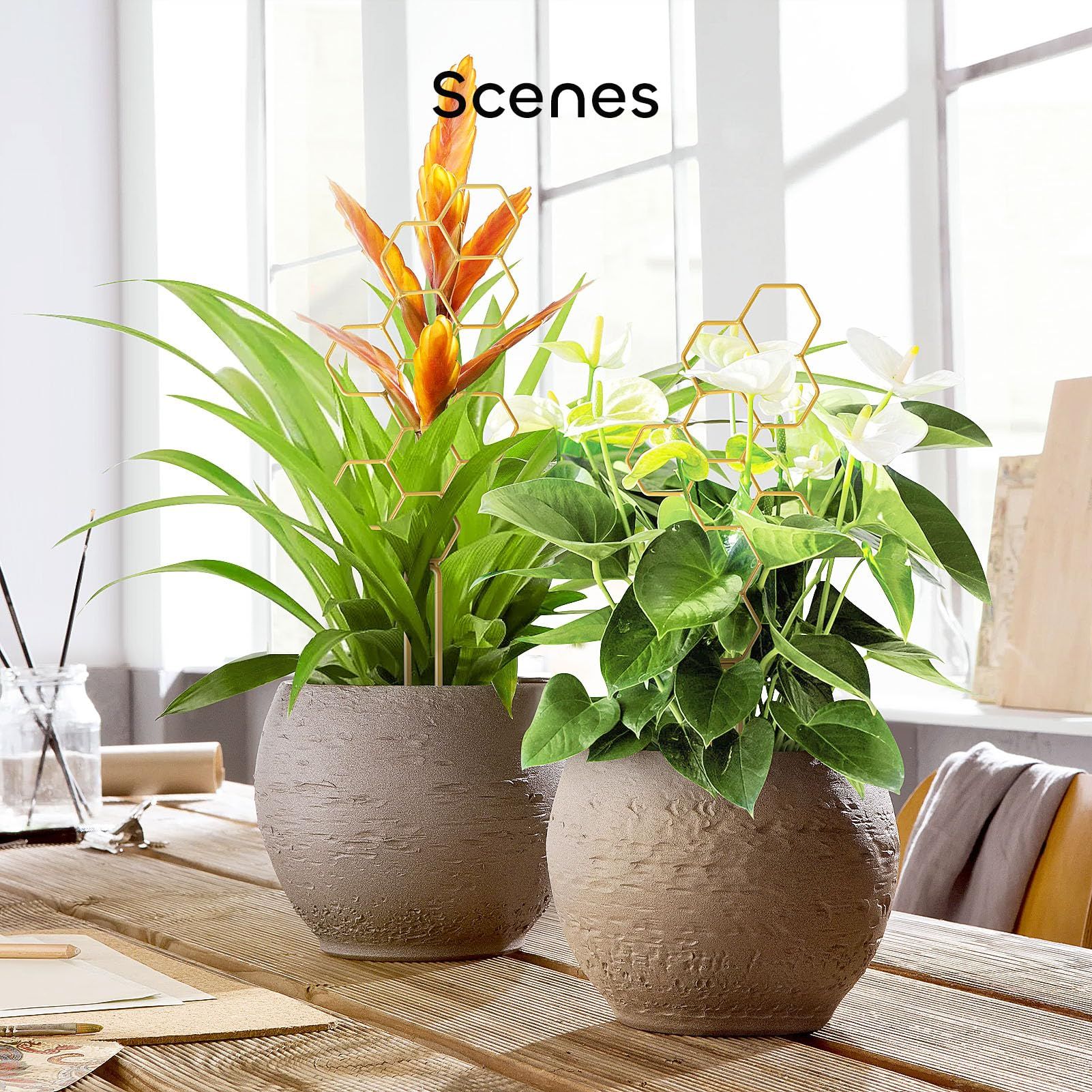2 Pcs 14" Small Plant Trellis for Climbing Plant view 5