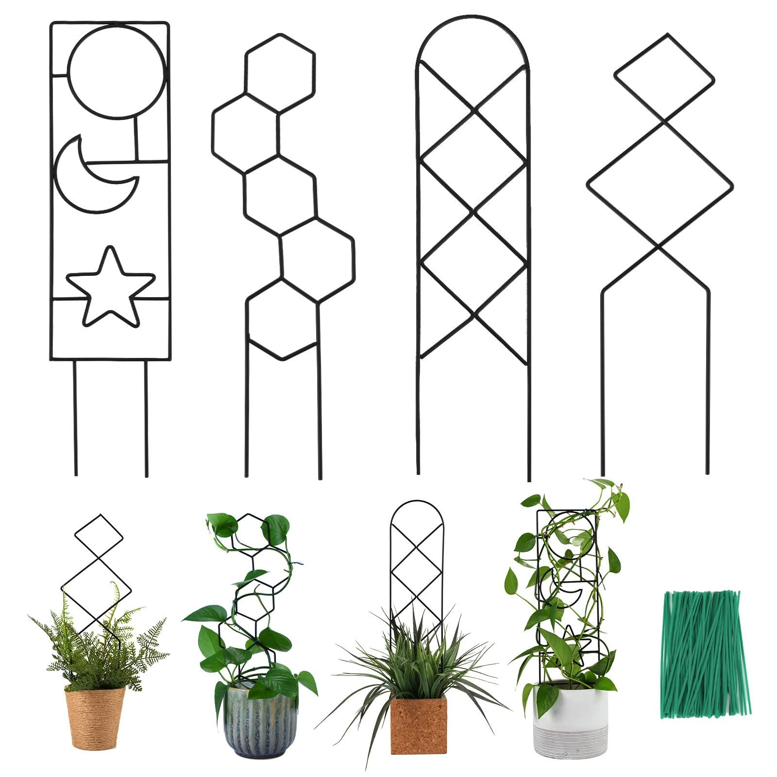 Plant Trellis for Climbing Plants Indoor