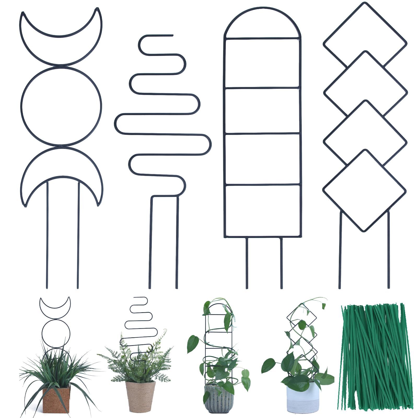 Indoor Plant Trellis for Climbing Plants