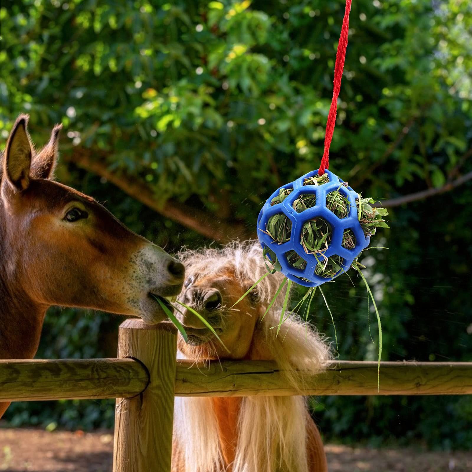 Hay Ball for Horses, Goats, Sheep, Stress Relief, Pack of 2 (Blue) to keep the view 2