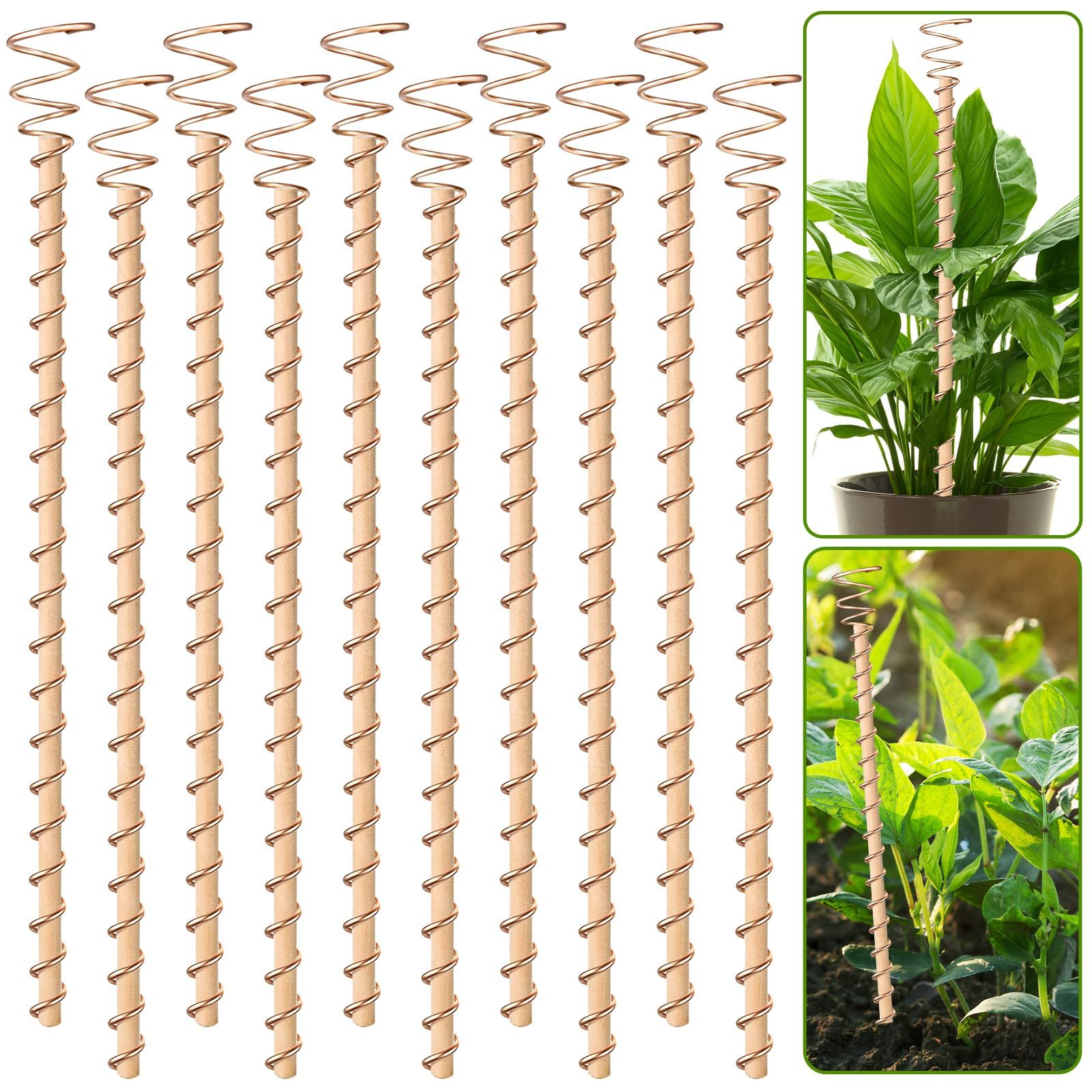 10pcs Electroculture Plant Stakes