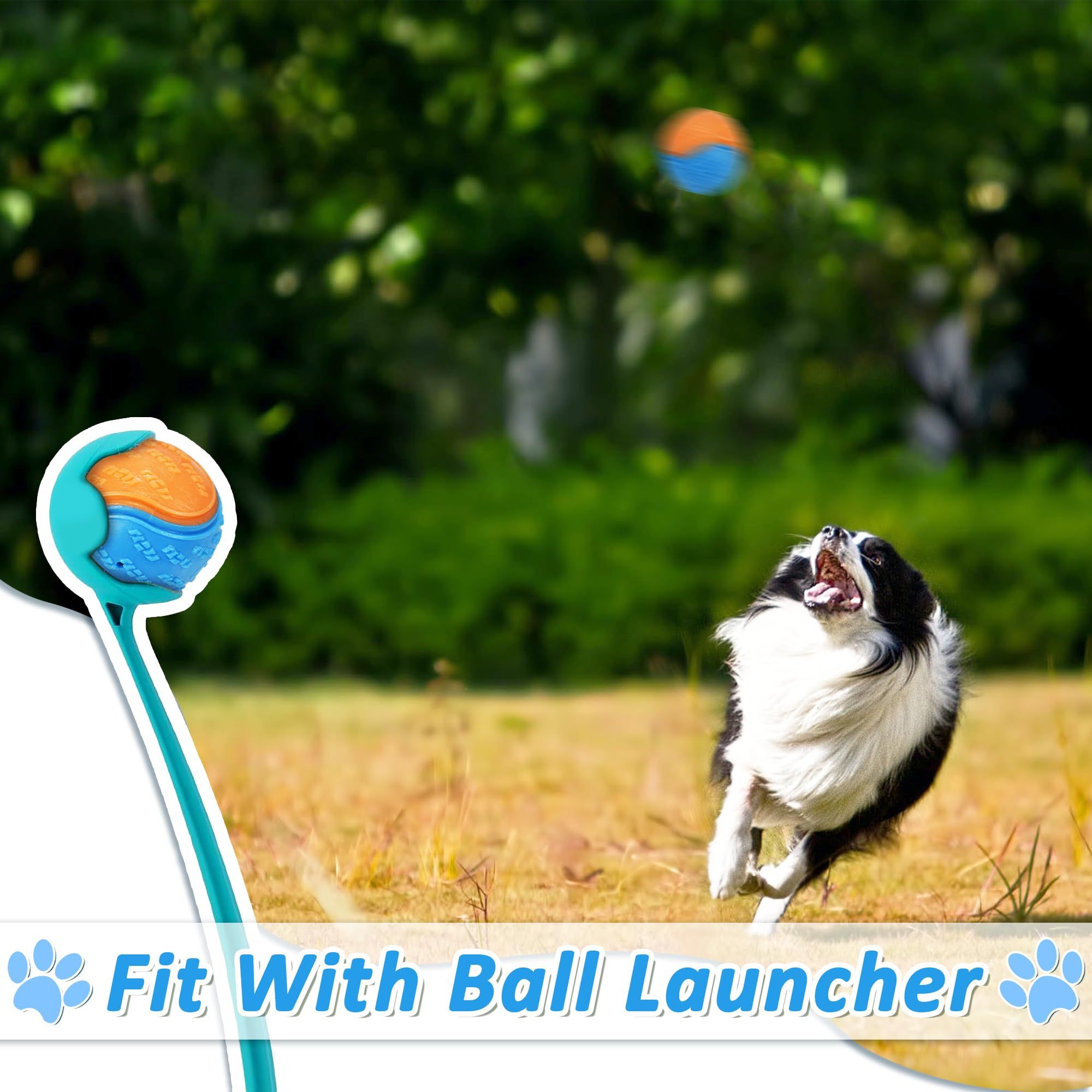 Color random Dog Toys Balls for Training view 4