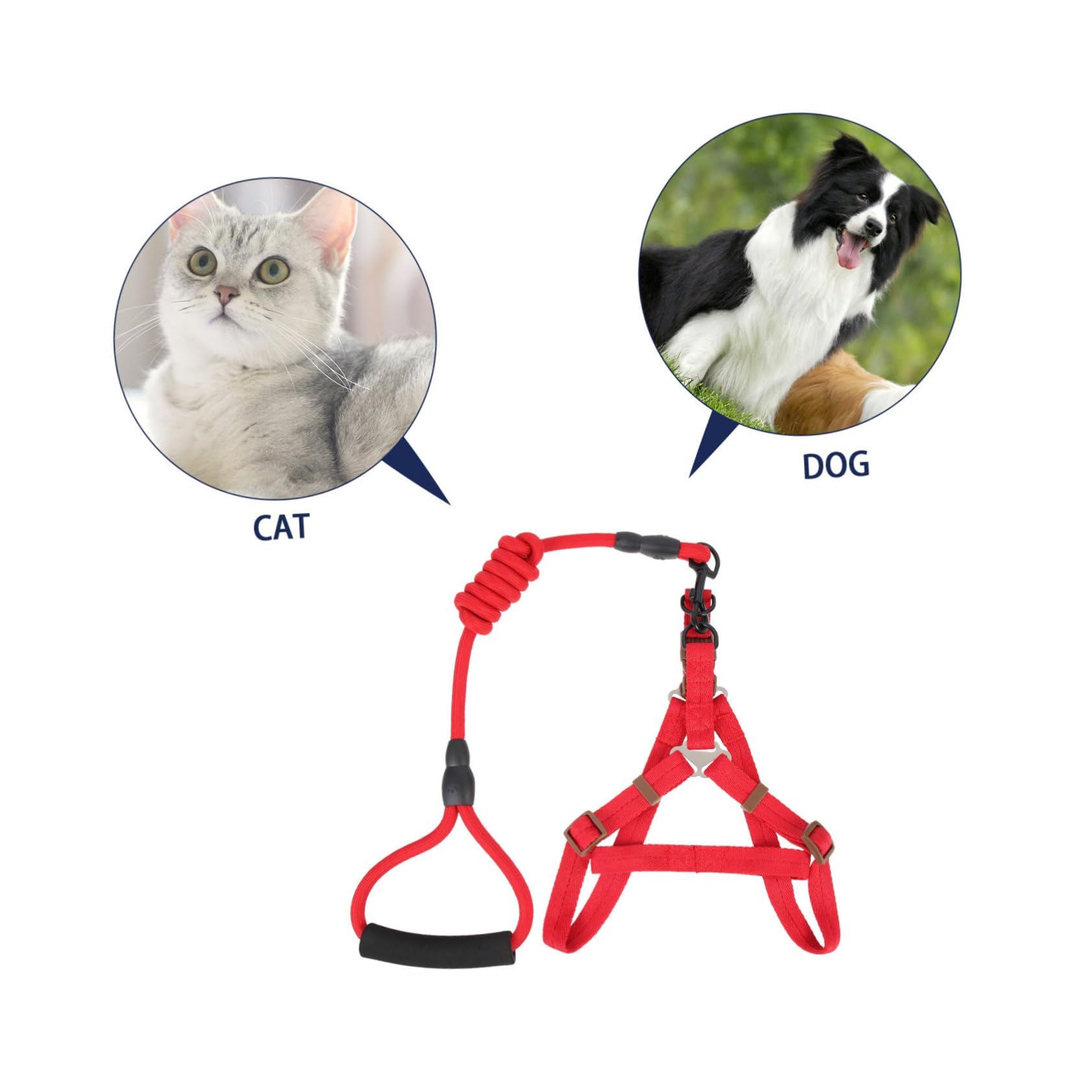 1 Set Pet Leash Dog Walking Leash Kit Puppy Vest Leash Small Dog Harness Puppy view 4