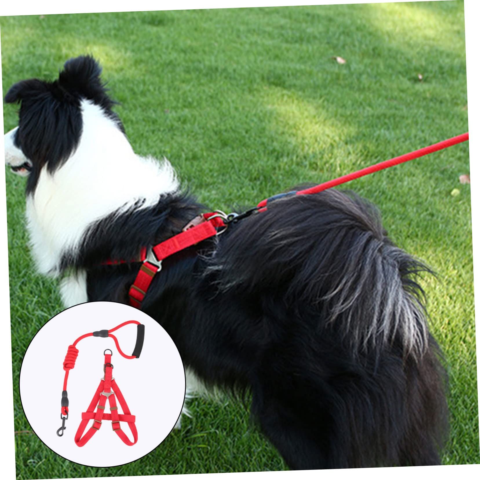 1 Set Pet Leash Dog Walking Leash Kit Puppy Vest Leash Small Dog Harness Puppy view 5