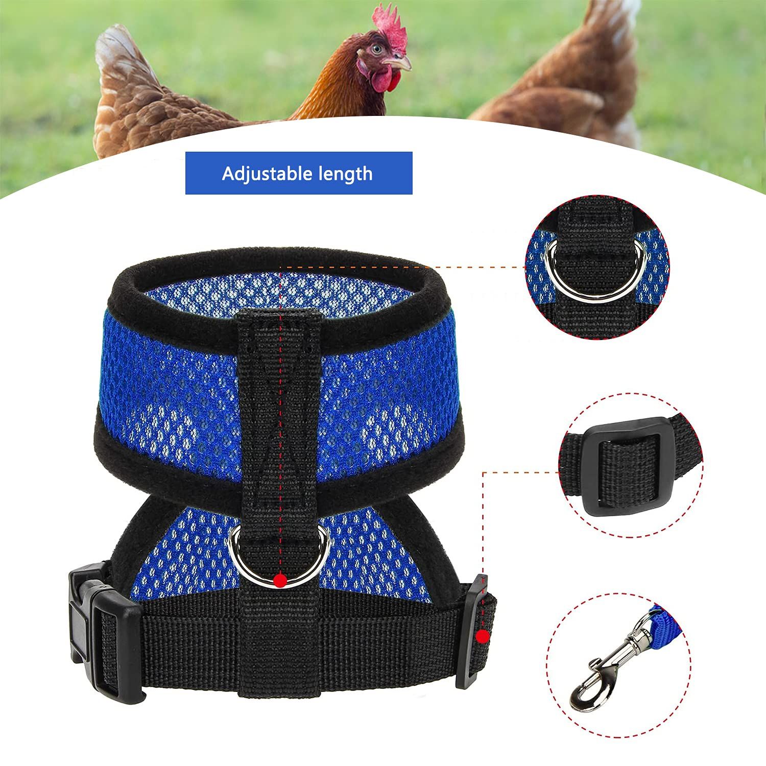Chicken Harness and Leash view 3