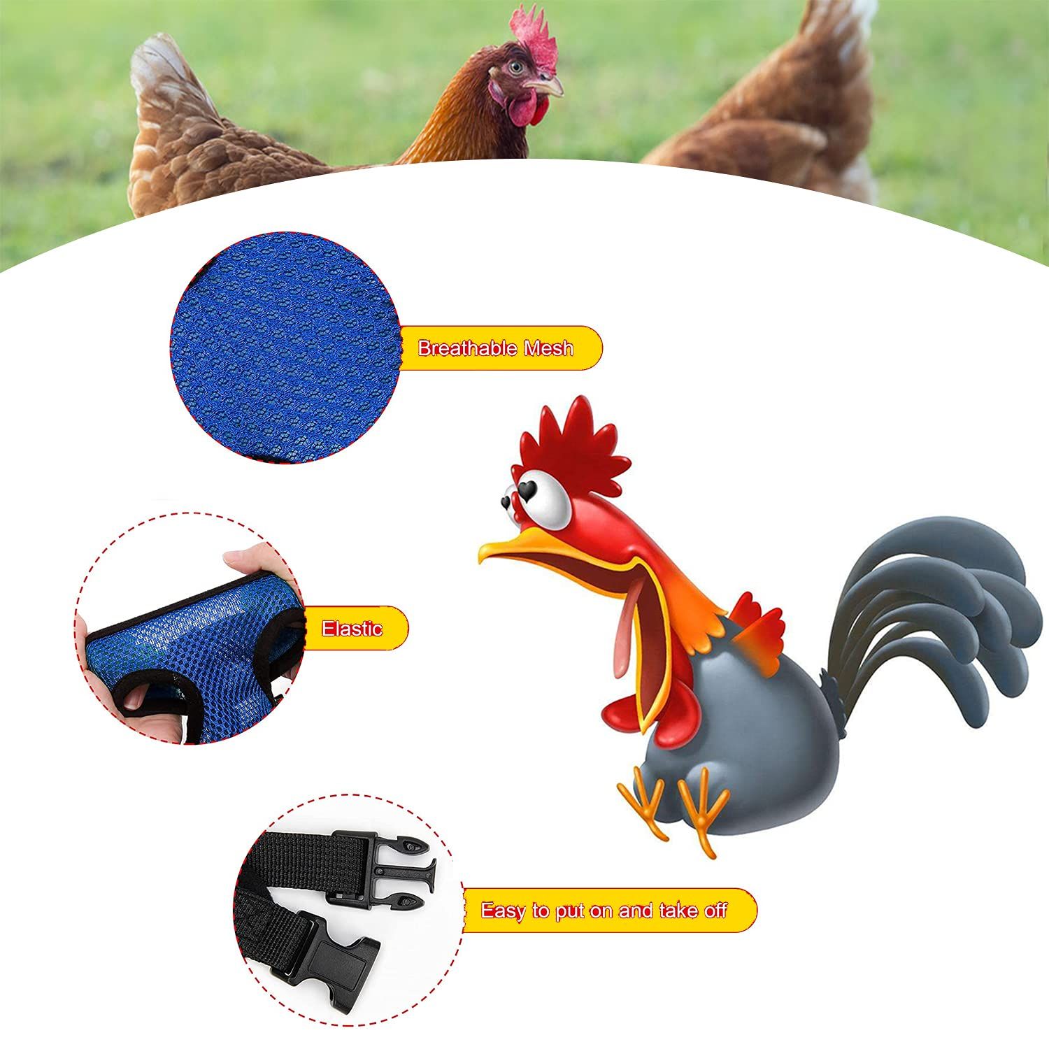 Chicken Harness and Leash view 4