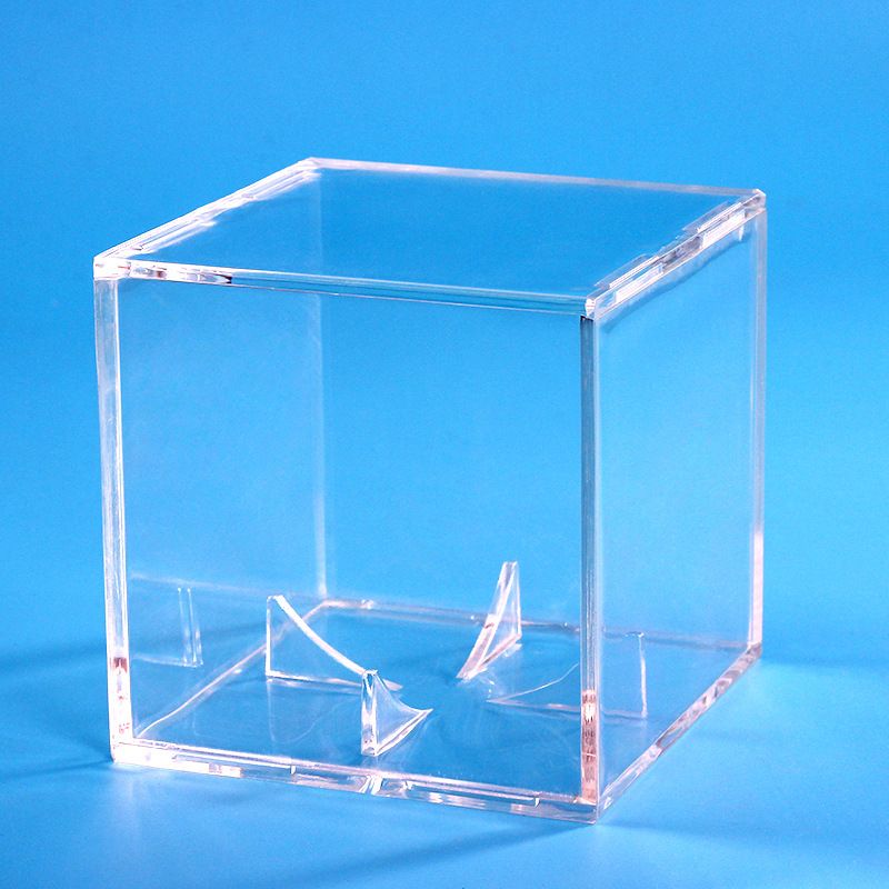 Box Transparent Display Box Baseball Case Baseball Supply Baseball Accessory view 4