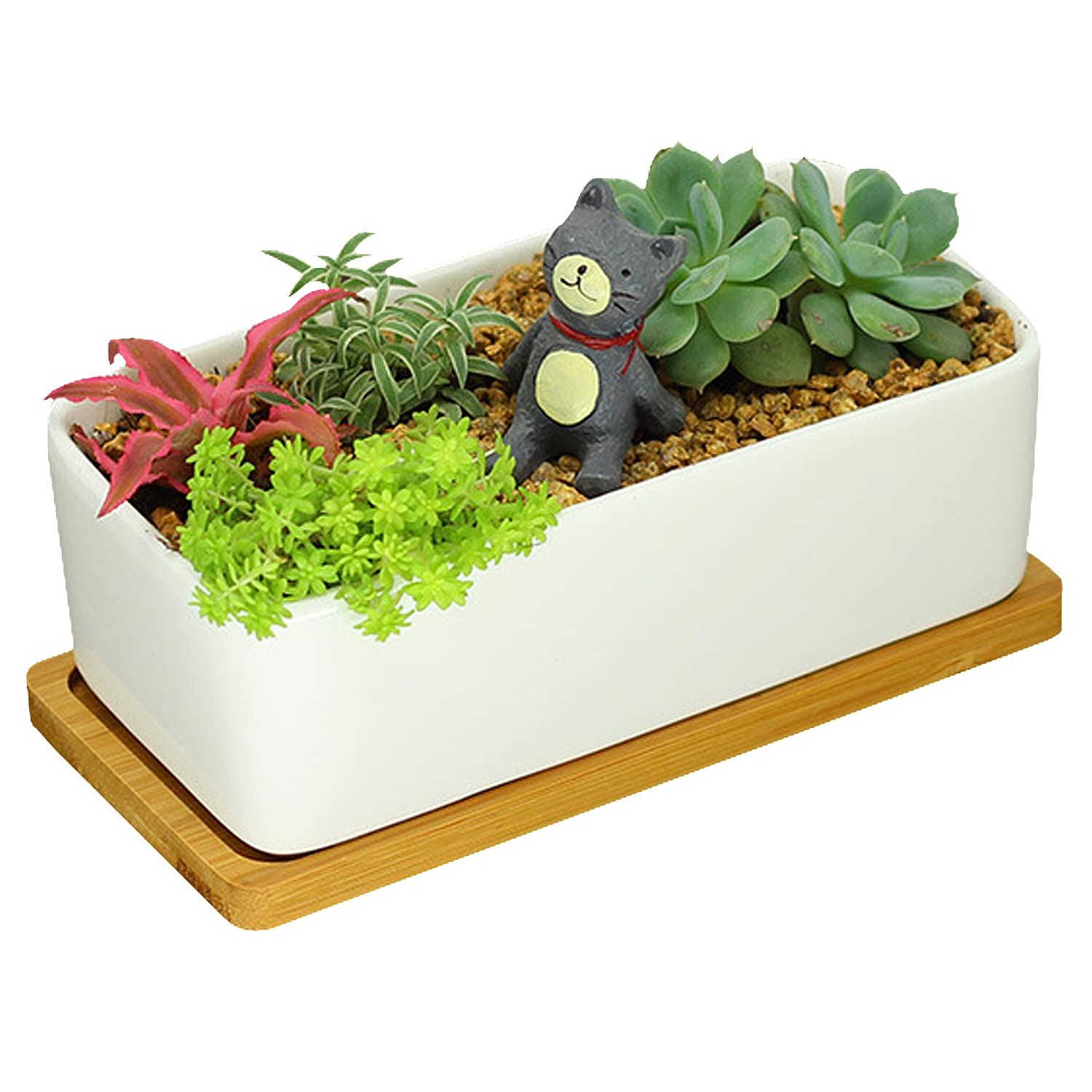 Bamboo Plant Saucer, Mini Bamboo Rectangle Pot Saucer, Bonsai Flower Boxes view 5