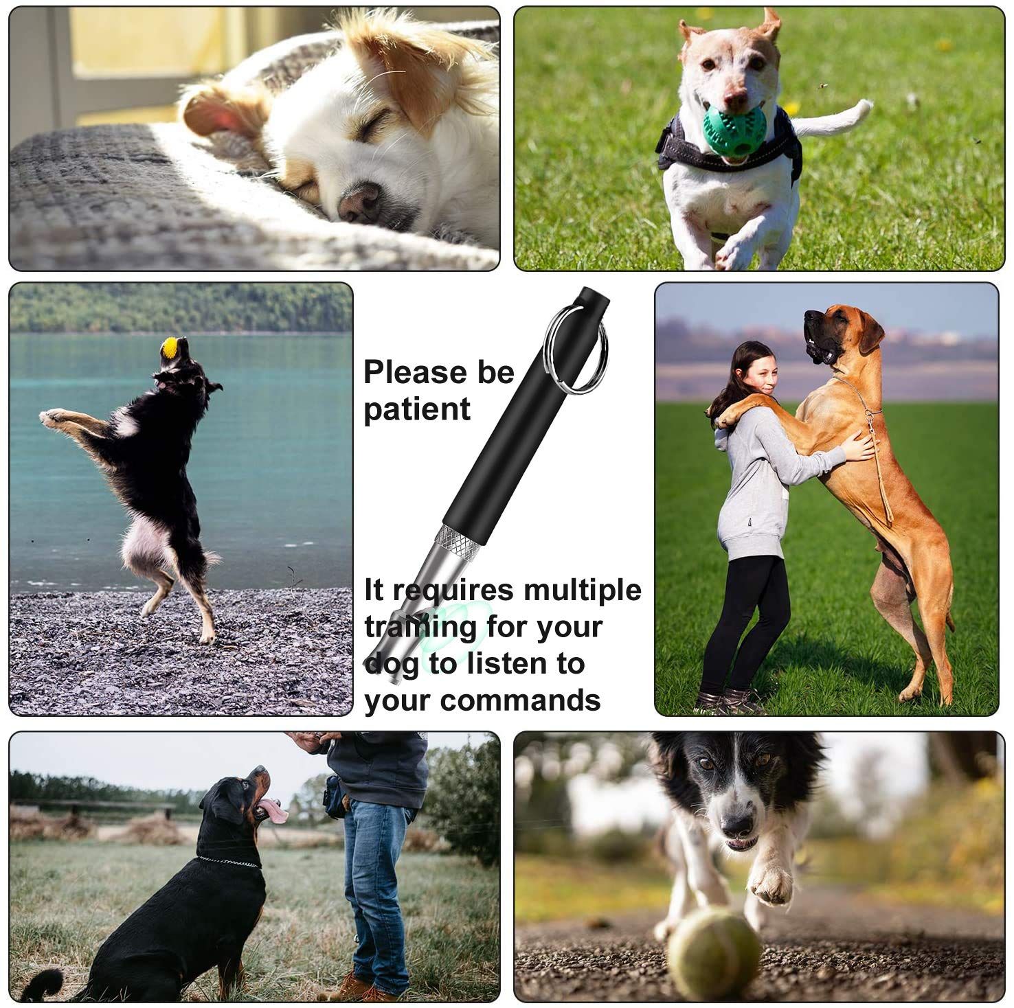 Adjustable ultrasonic silent dog whistle with lanyard view 5