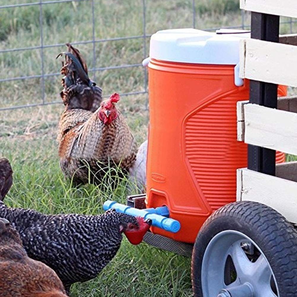 Chicken Drinker, Livestock Automatic Red Water Bowl Quail Chicken Drinking Cup view 4