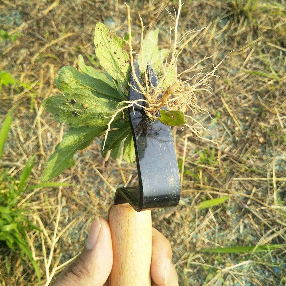 Manual Root Lifter Weeder Weeds Remover Garden Lawn Farmland Transplant view 3