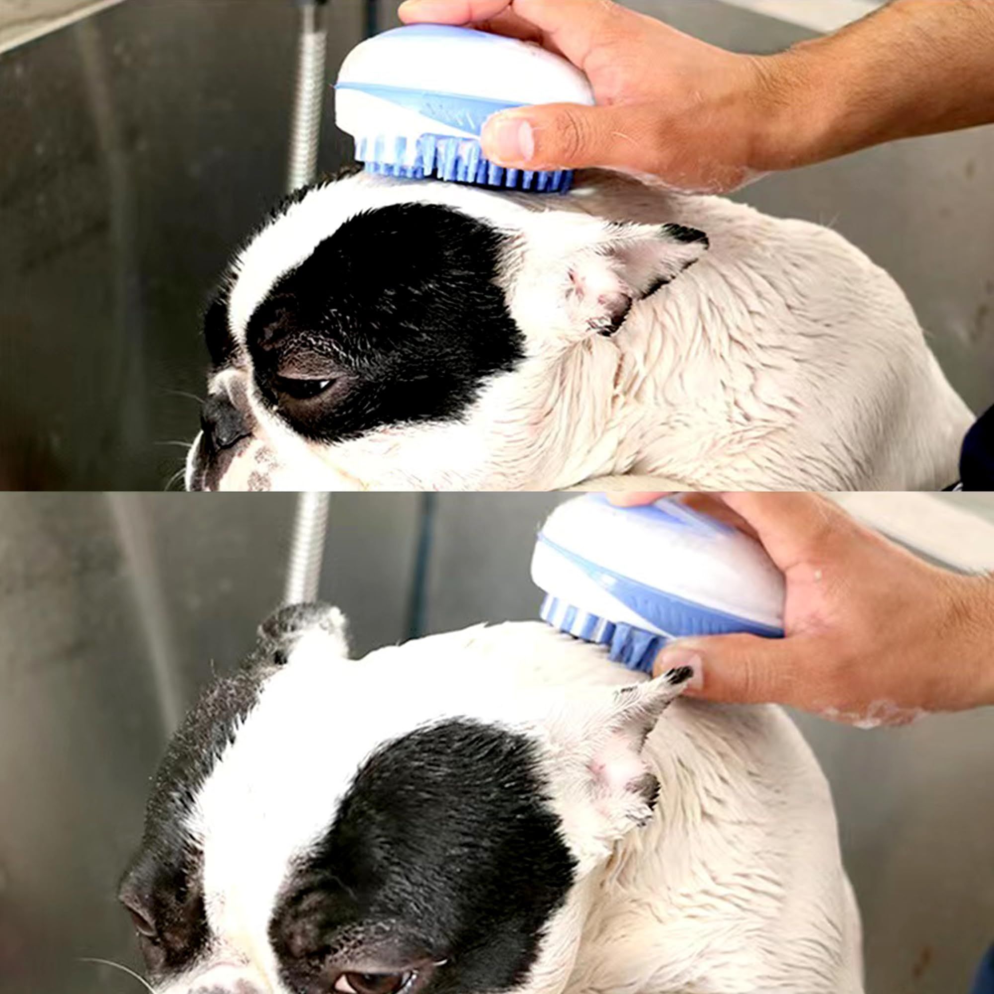 2-in-1 Bathing Massage Brush Dog Shampoo Cat Brush Dog Brush for Shedding hair view 2