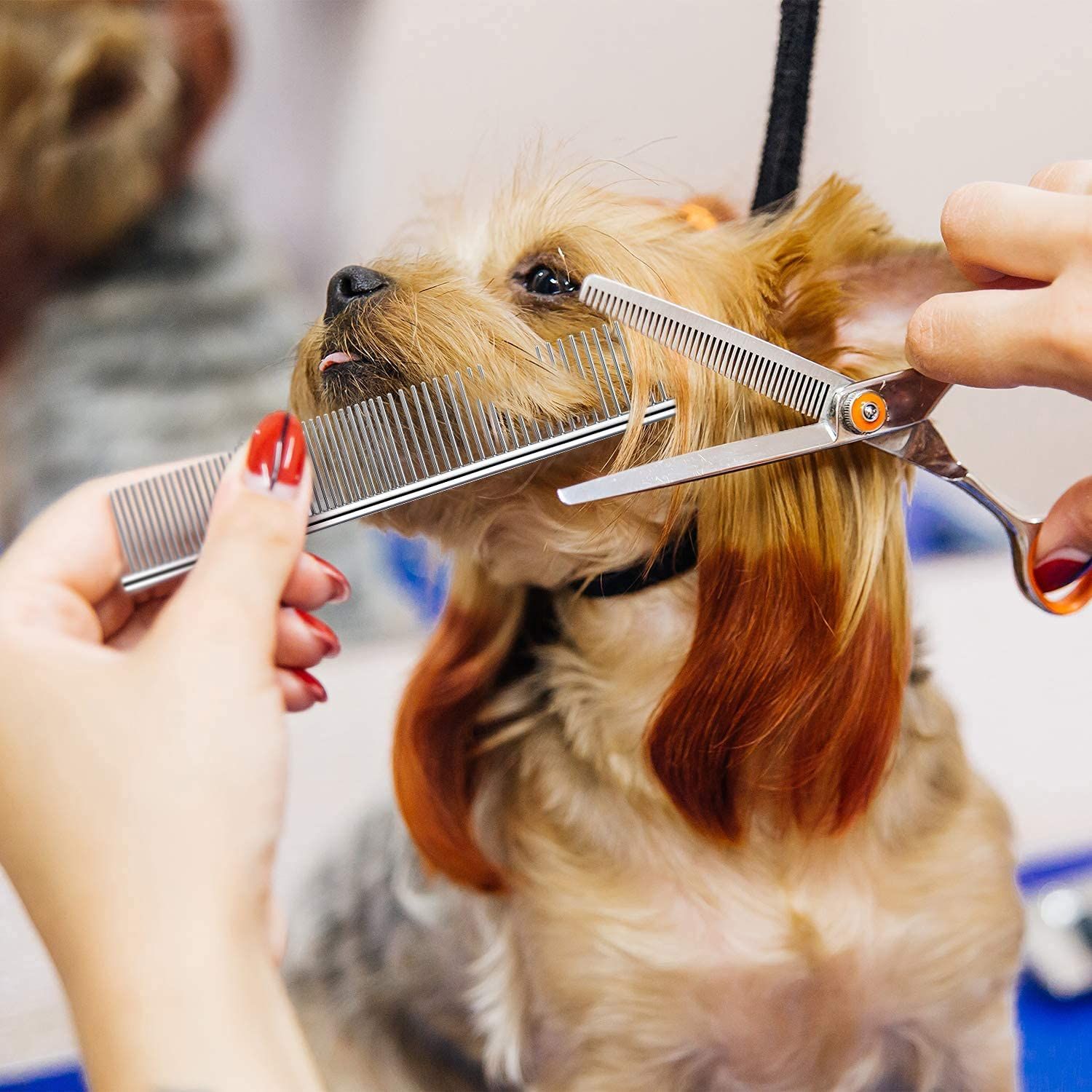 Dog Combs for Grooming, Metal Cat Comb for Removing Tangles and Knots view 5