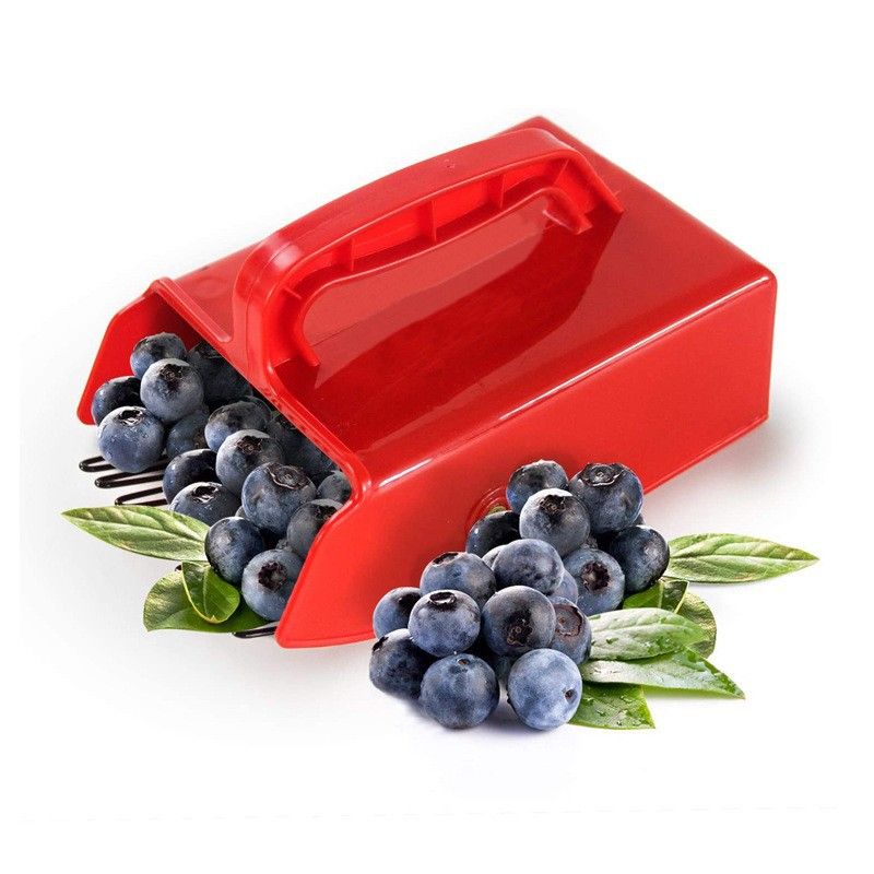 Blueberry Picker, Blueberry Pick up Scoop Berry Harvester Tool with Metal