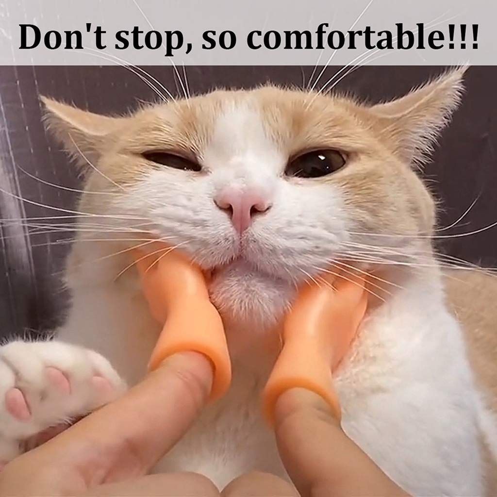 Grooming Glove Artifact for Cat and Dog Beauty Massage view 4