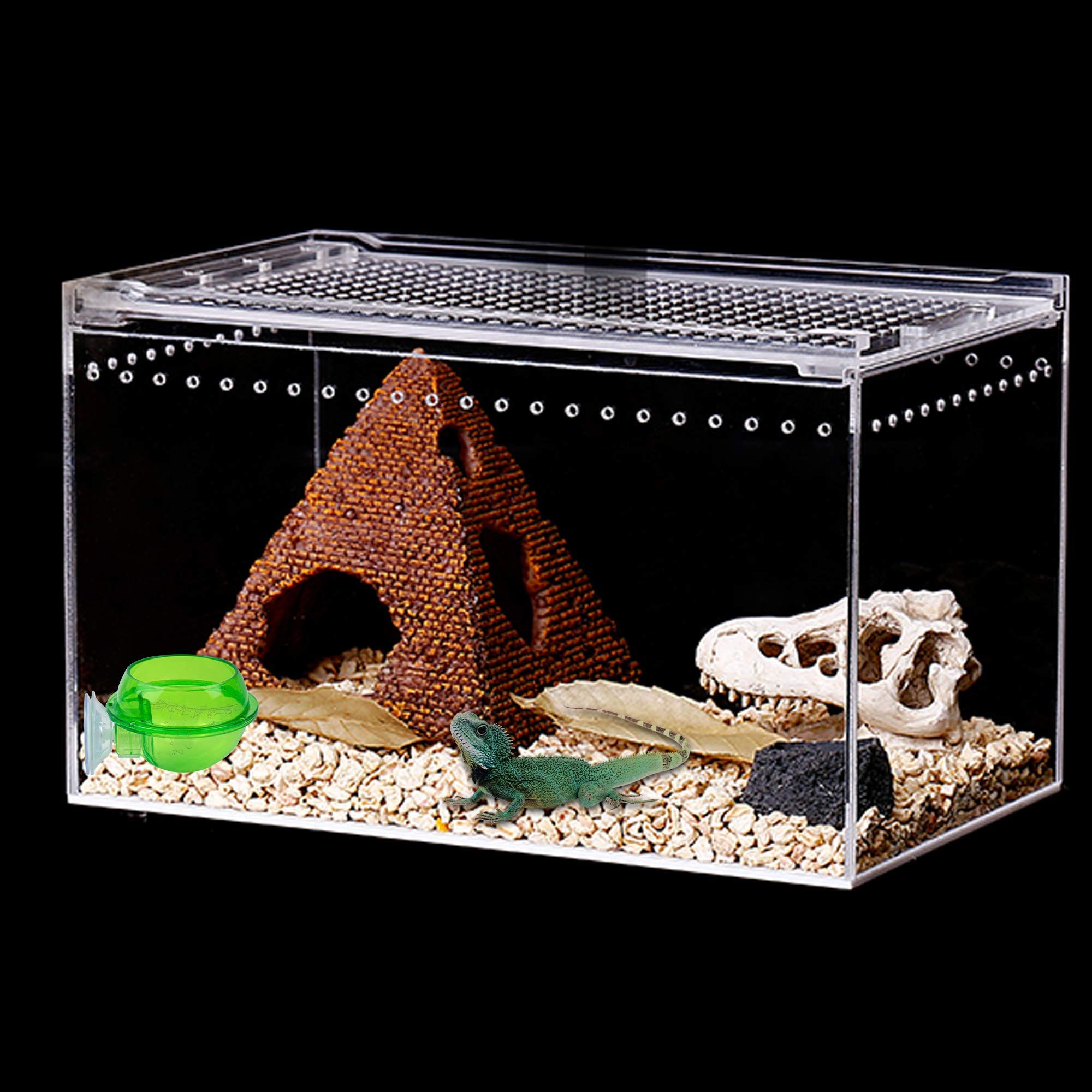 Live Crickets Supplies Worm Dish Automatic Cricket Feeder Peptile Bowl Reptile view 3